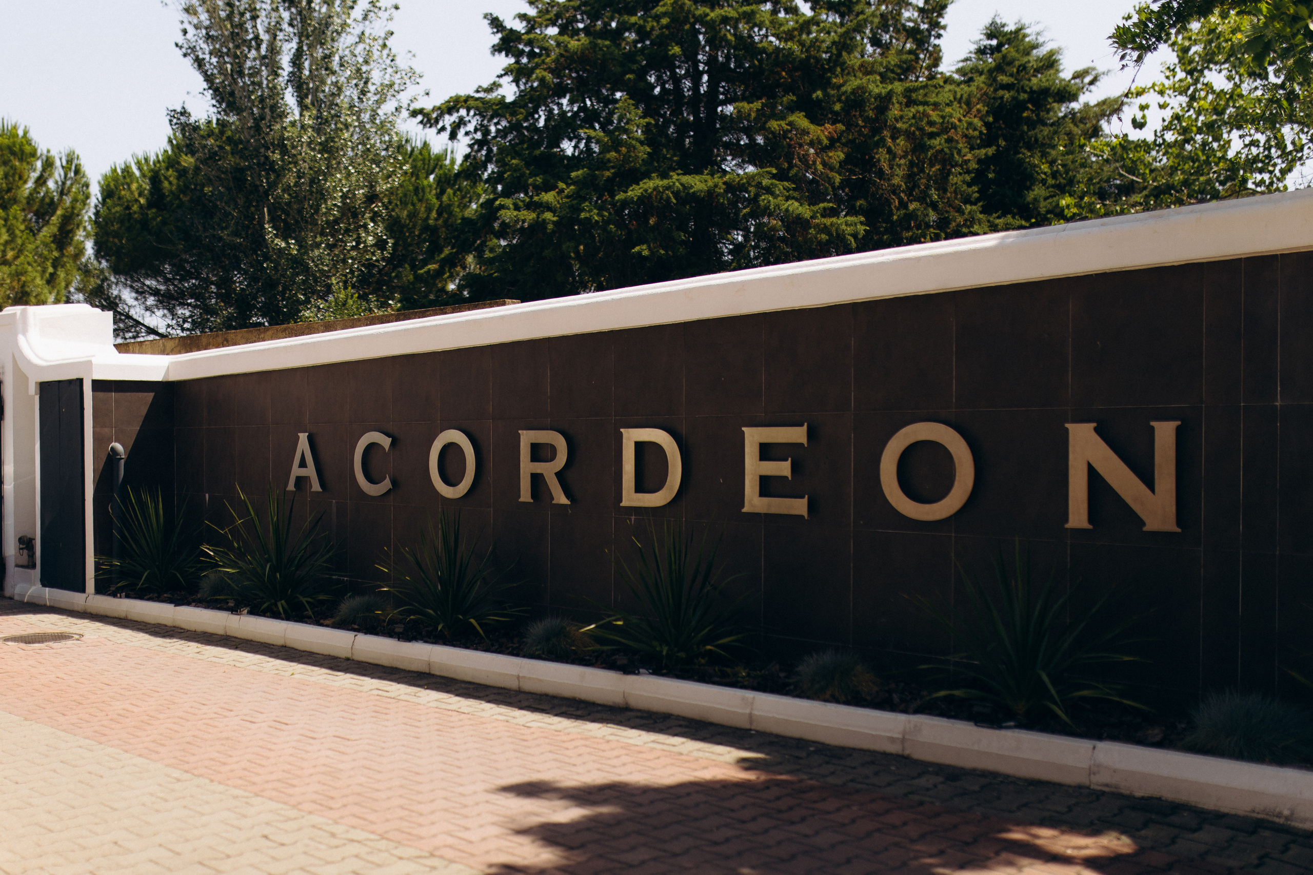 Rui & Olesea. Photographer in Dublin, Pavel