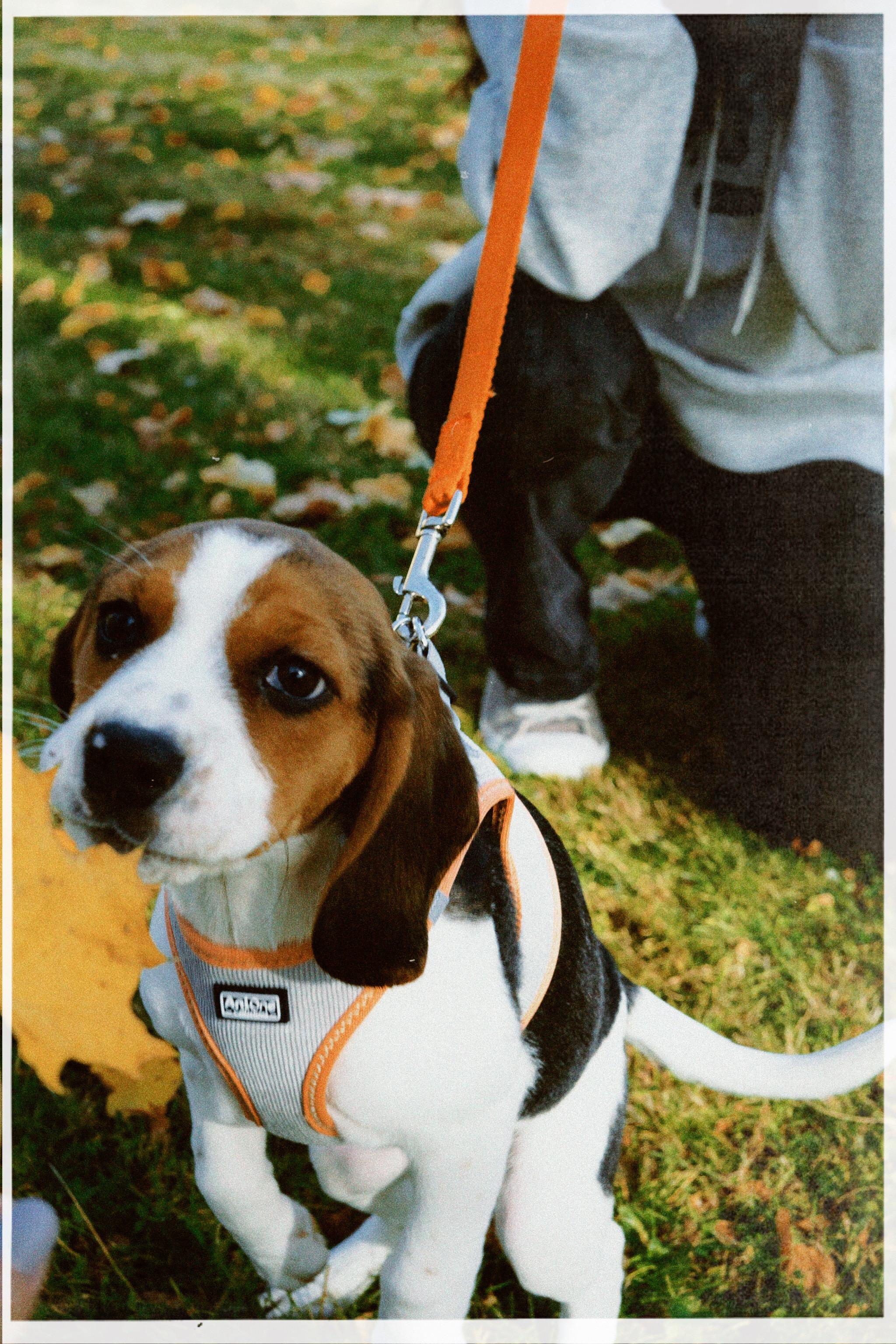 Nigar&chelsie. Wedding photography and videography in Regina, Saskatchewan