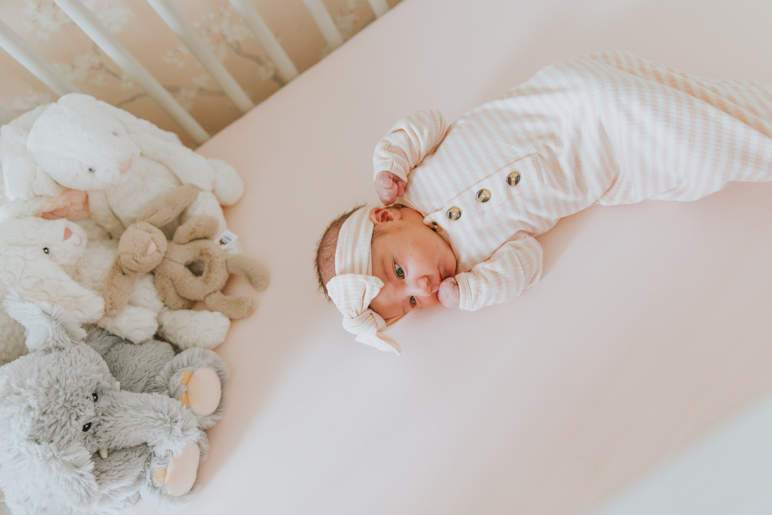 Newborn | In Home. Utah Family Photographer