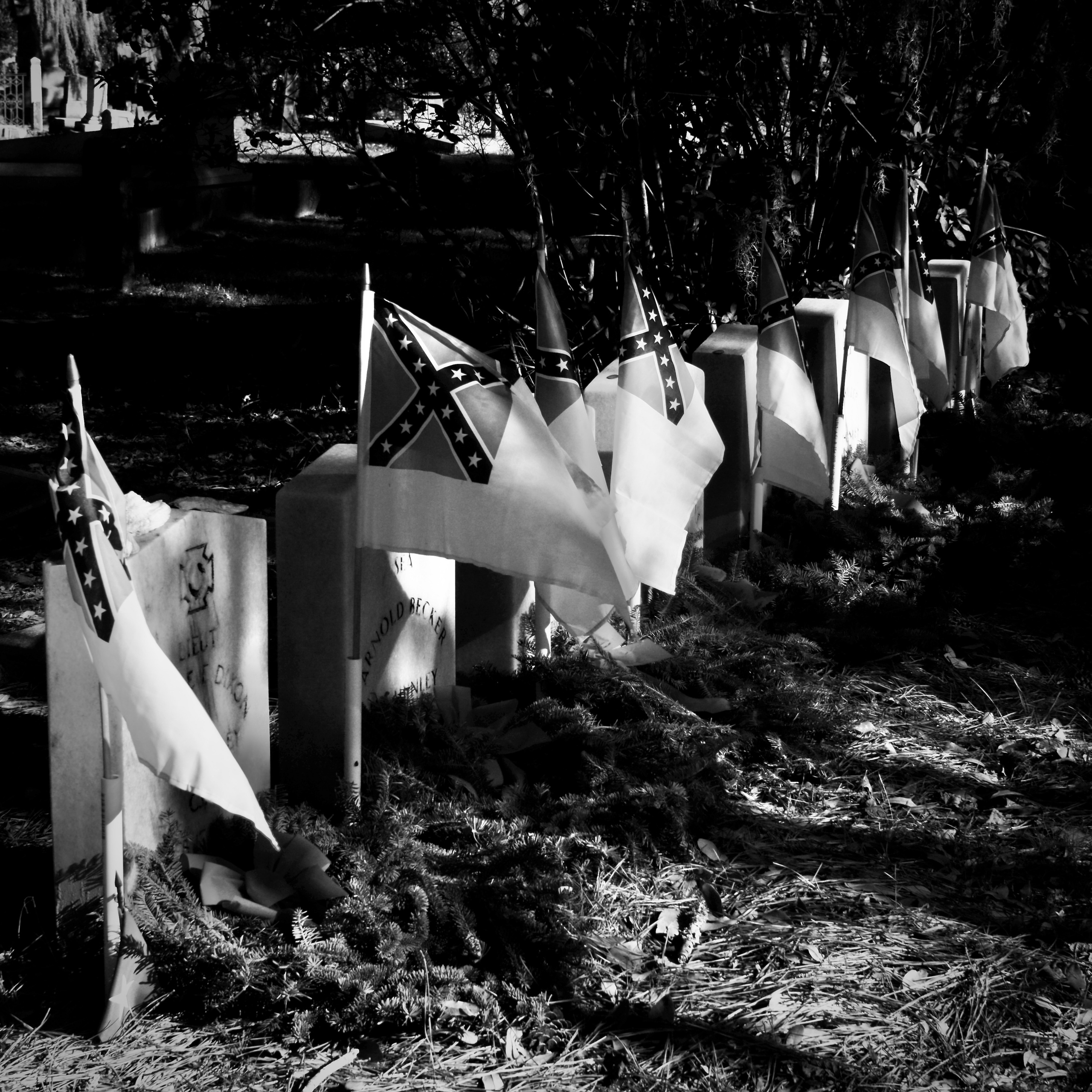 Monochrome. Sonny Photos