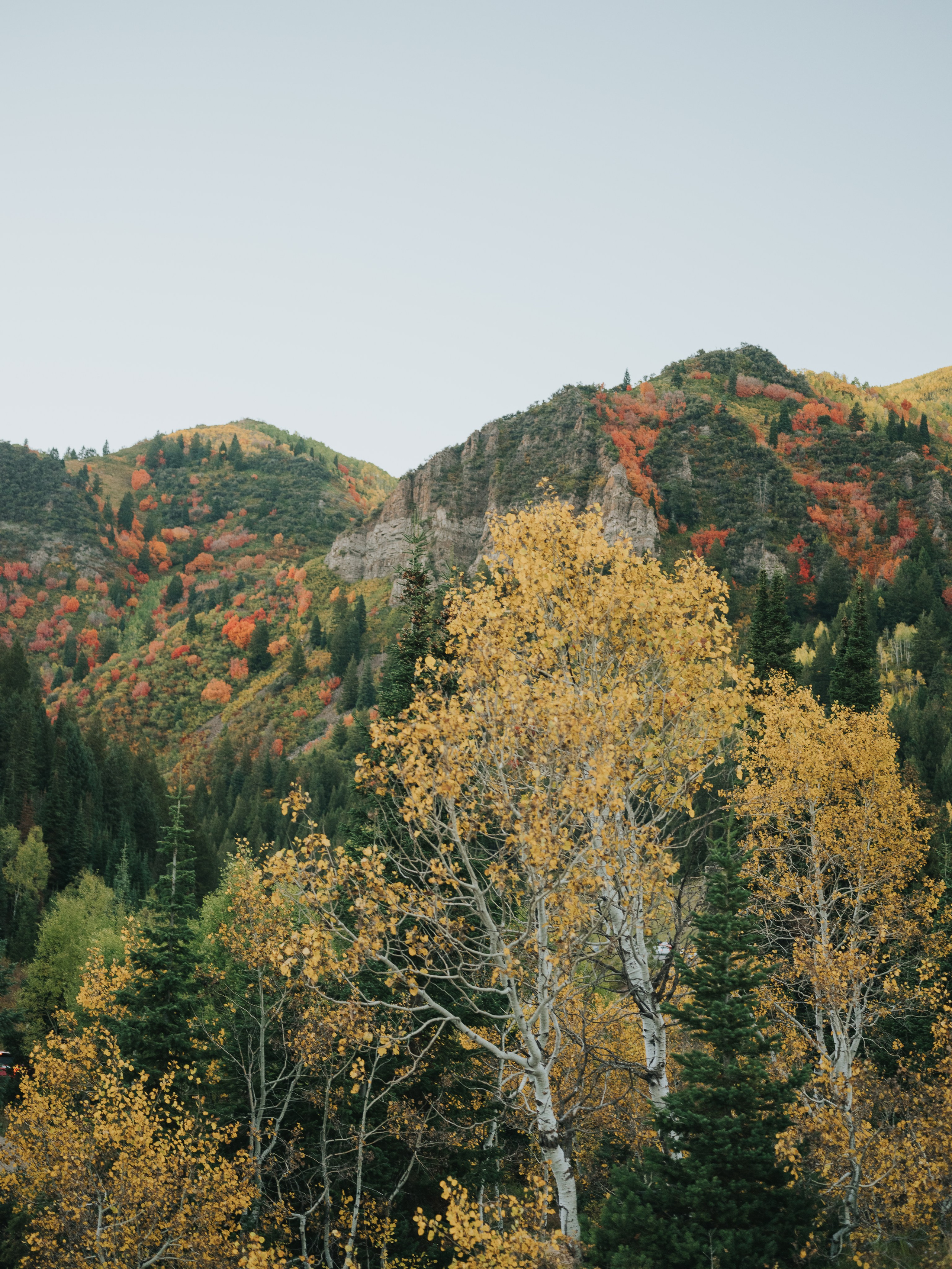 Missy + Sam Bridals. Utah Family Photographer