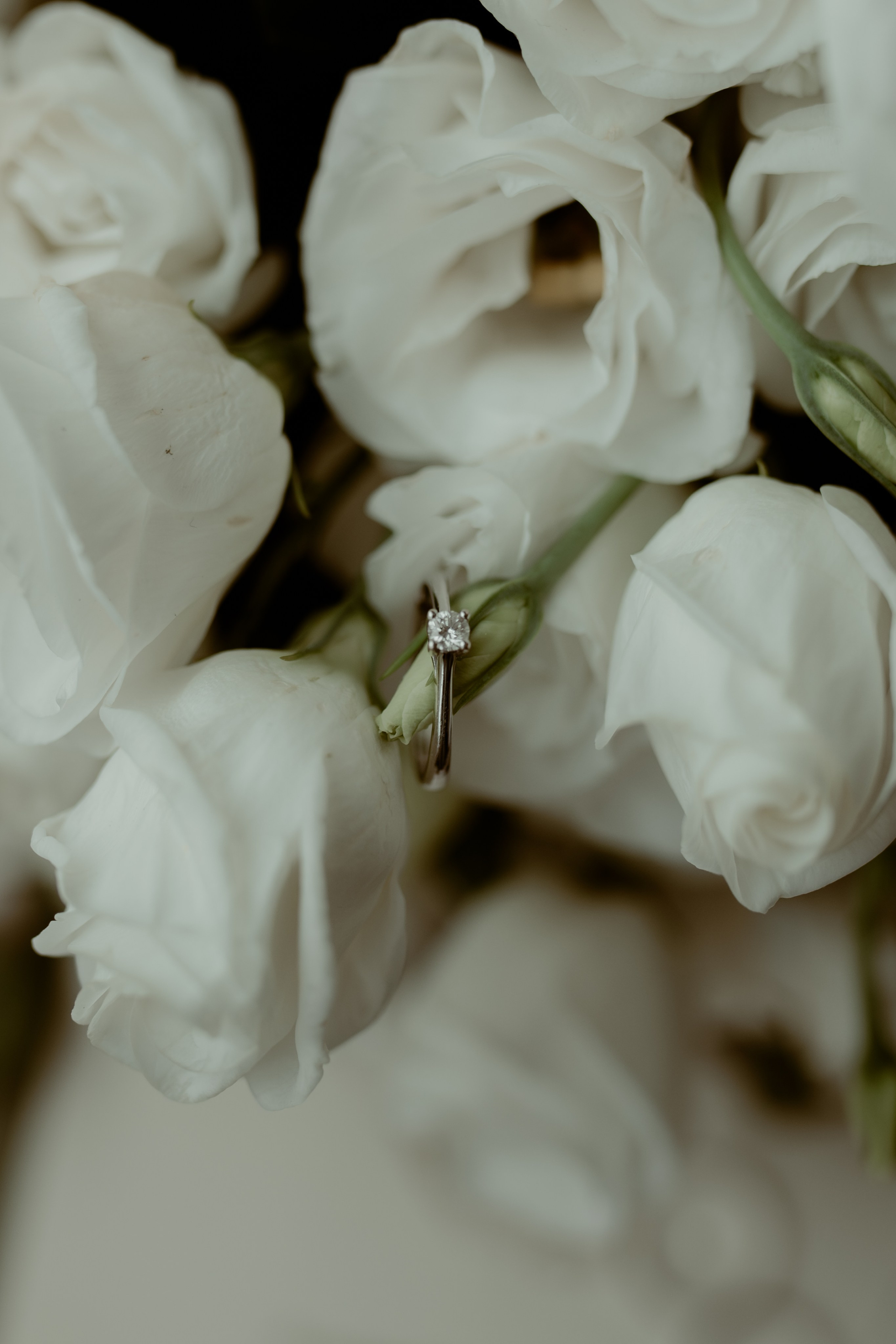 M&N. Wedding & Family photographer Jelena Anđelić