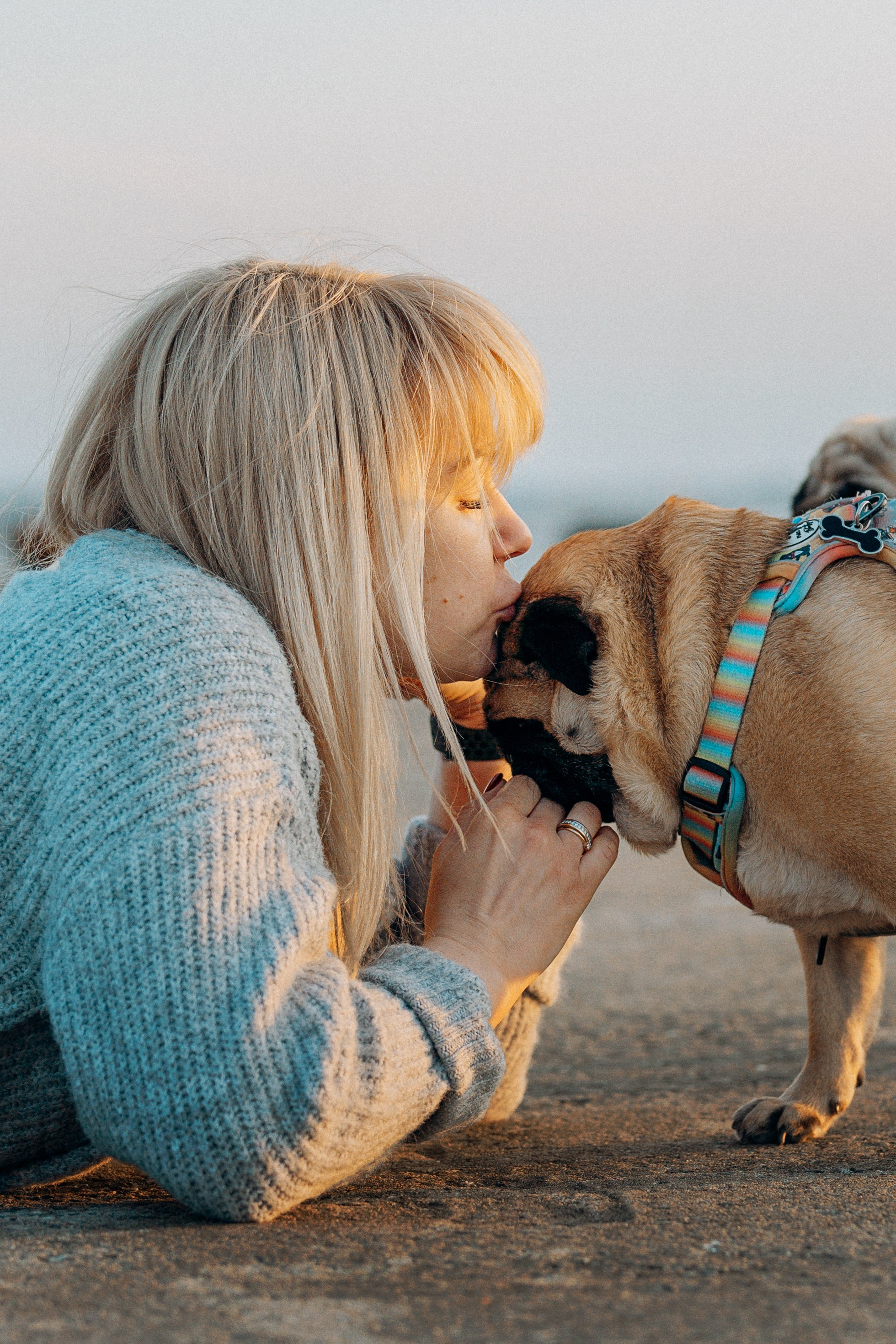 Frank, Tony, Katerina & Lev. Kat Laisaar — Pet photographer in Tallinn