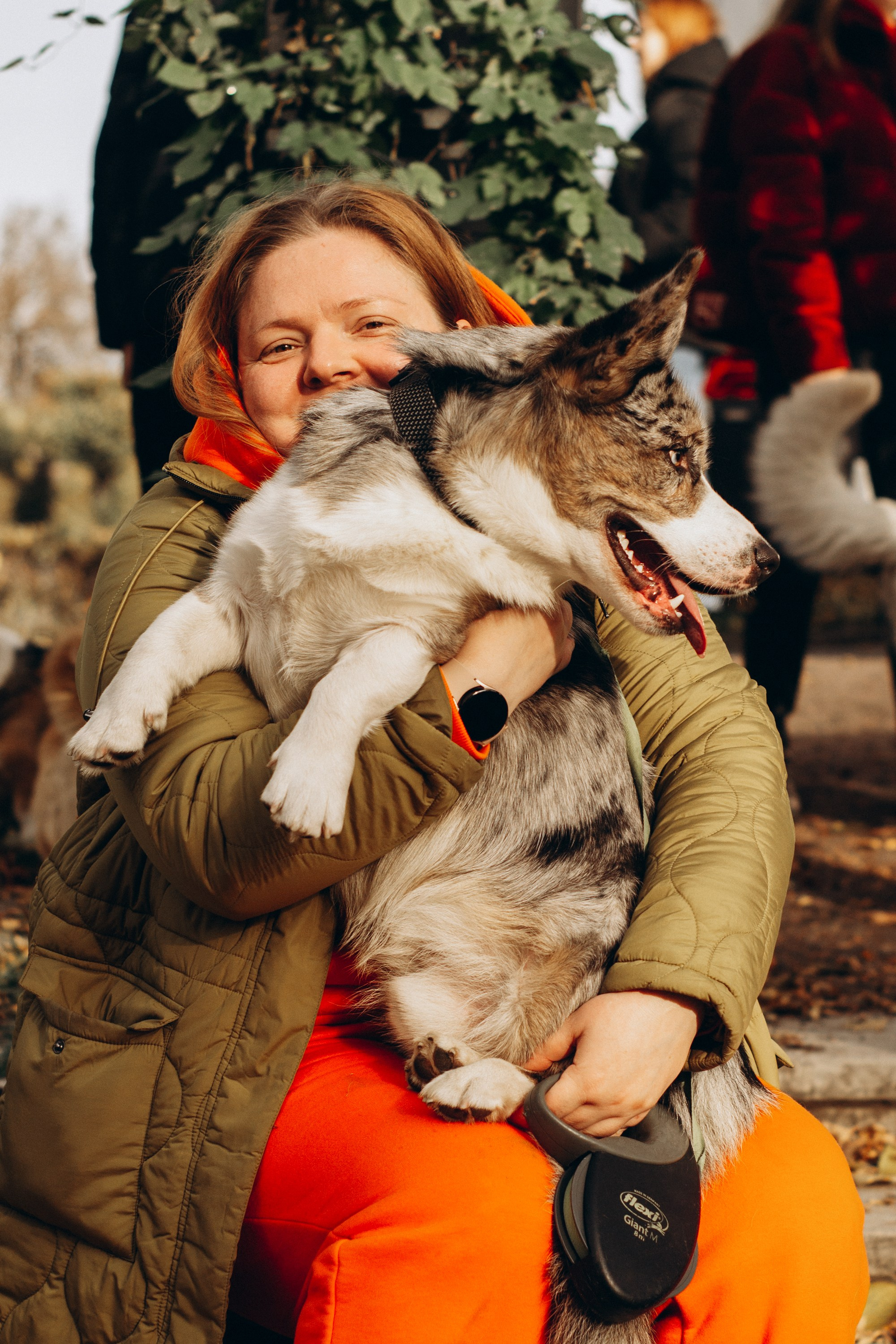Corgi party, october. Kat Laisaar — Pet photographer in Tallinn