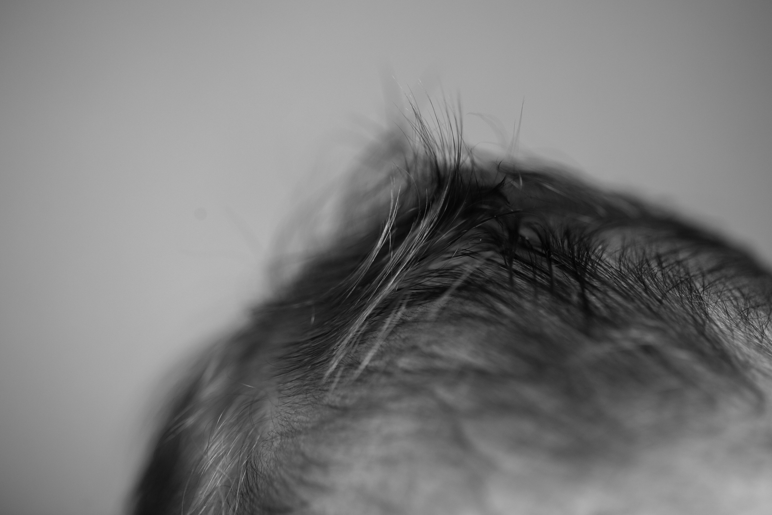 Newborn. Elena Kukhareva