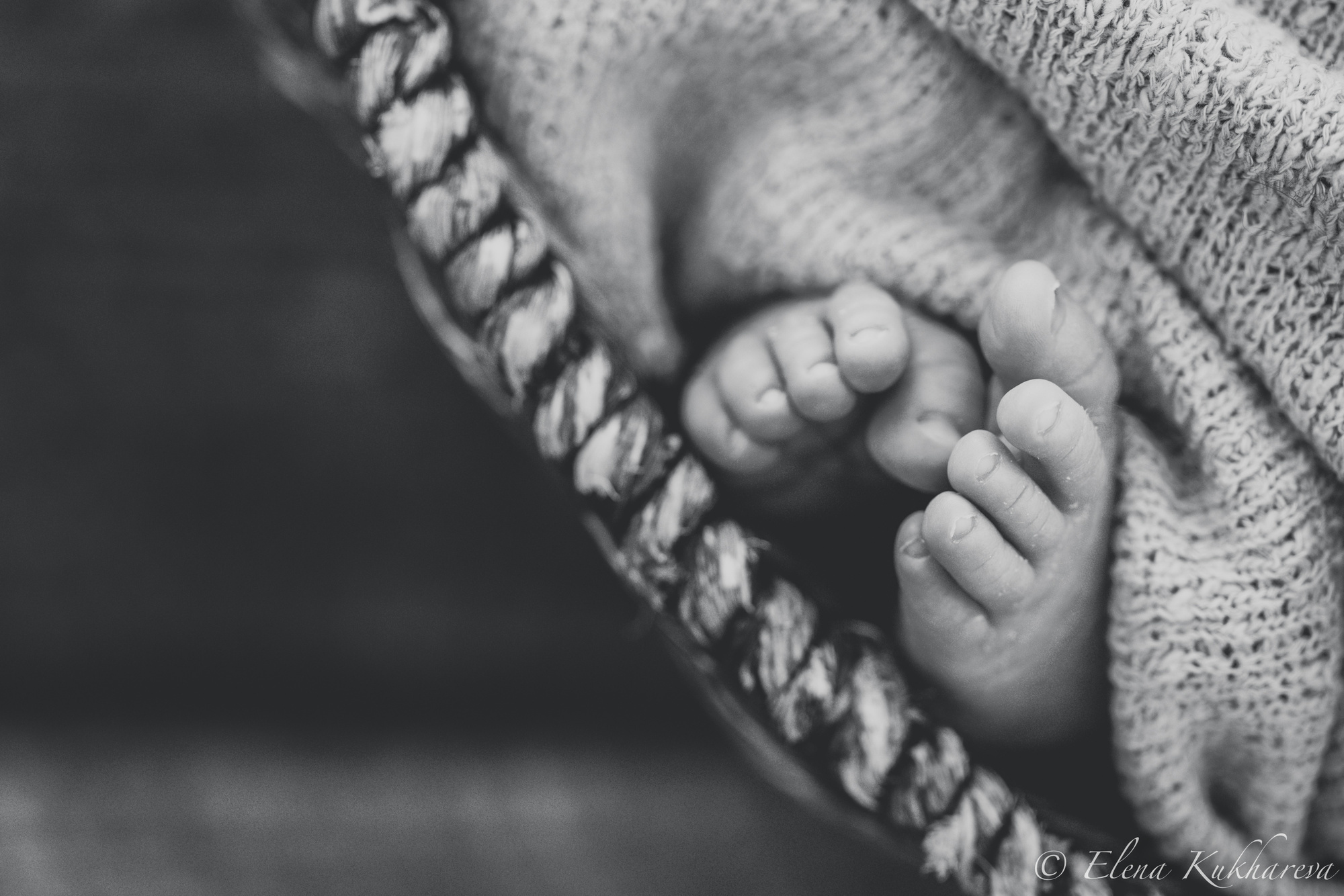 Newborn. Elena Kukhareva