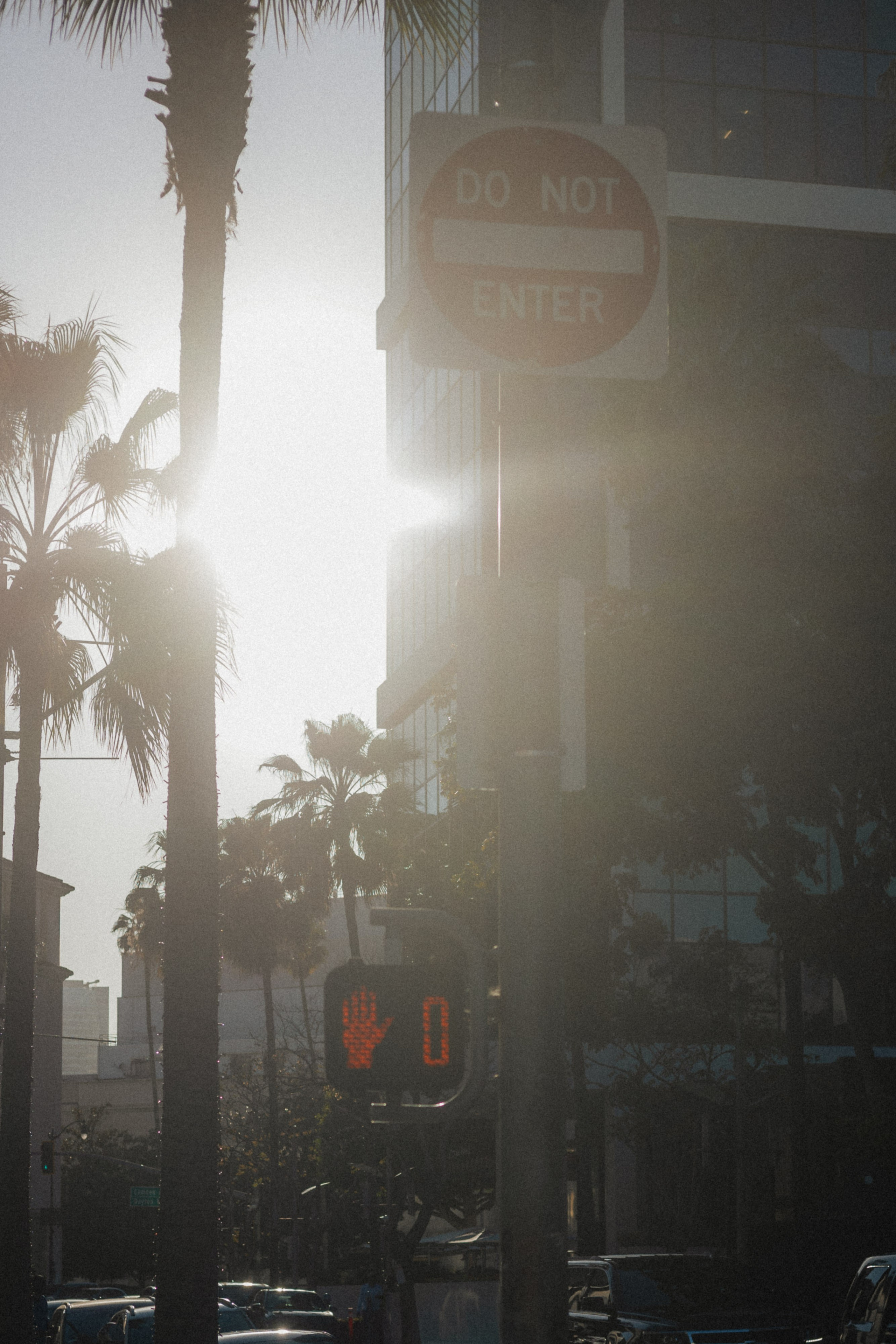 Los Angeles. Aleks.photo | Book a photoshoot