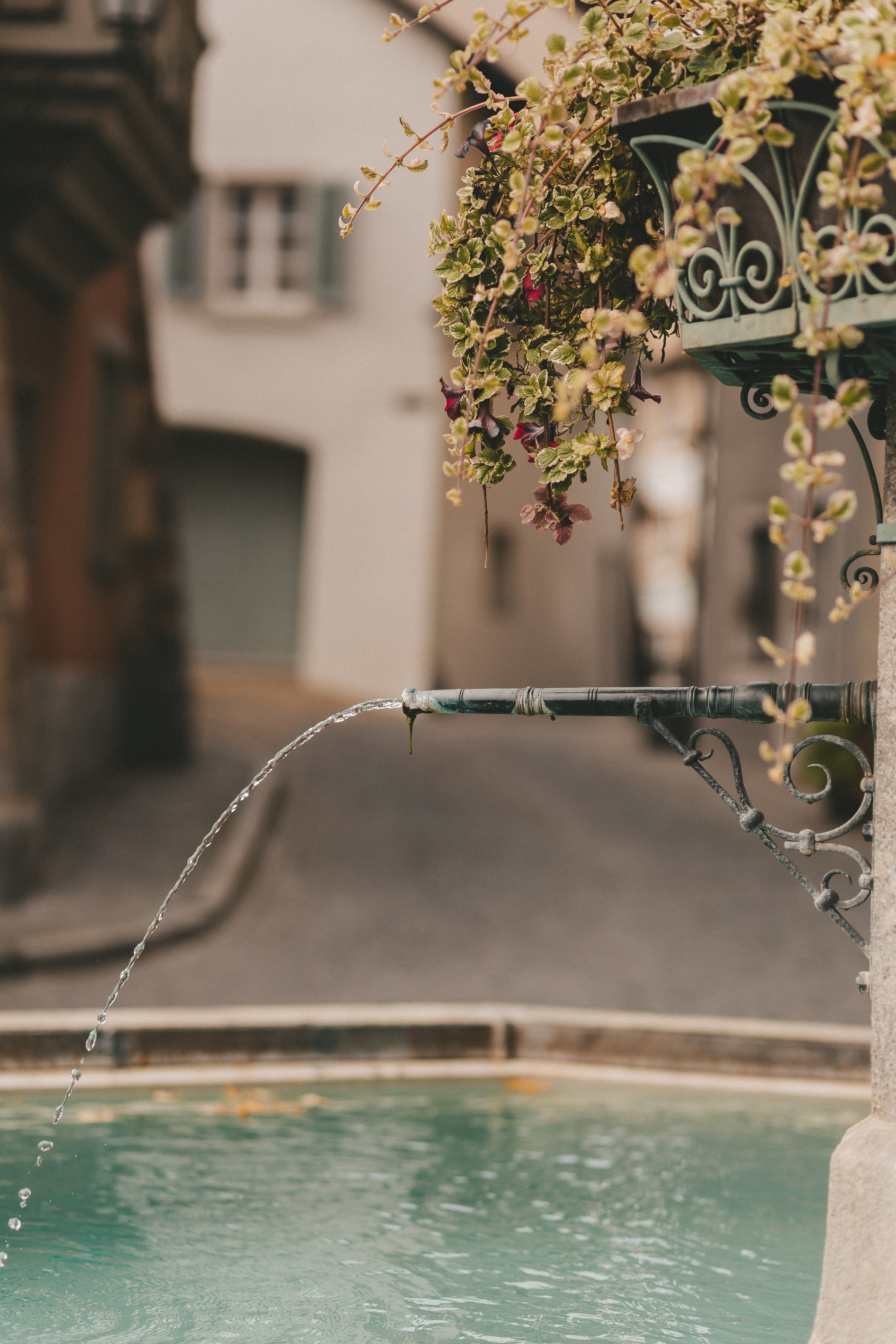 Лауфенбург: две страны — один город. Фотограф в Германии — Мария Чистякова