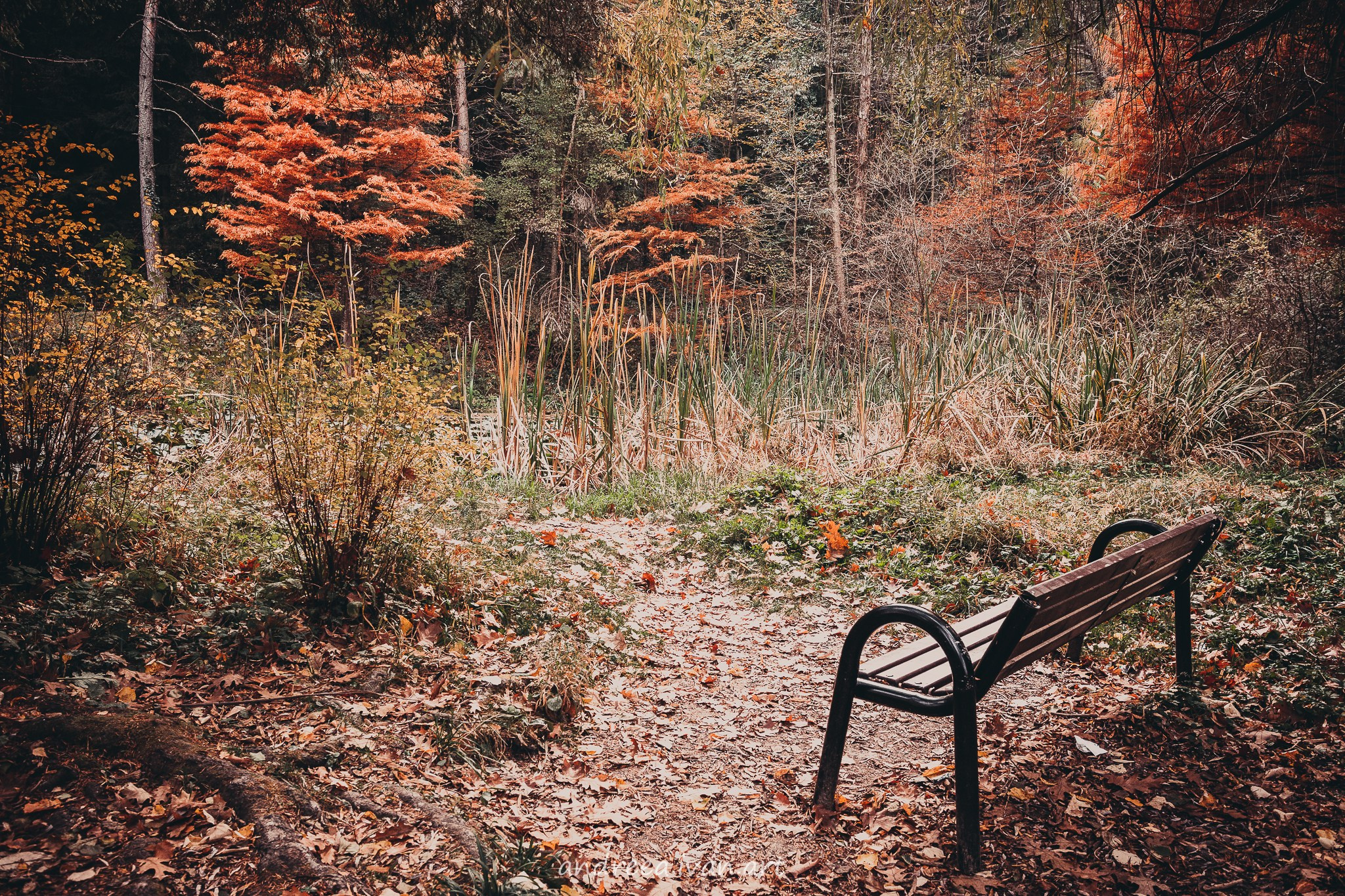 ~Peisaje~. Andreea Ivan art-Fotograf Constanta, Fotograf profesionist Constanta, Fotograf de nunta Constanta, botez, sedinte foto cu tematica, portret