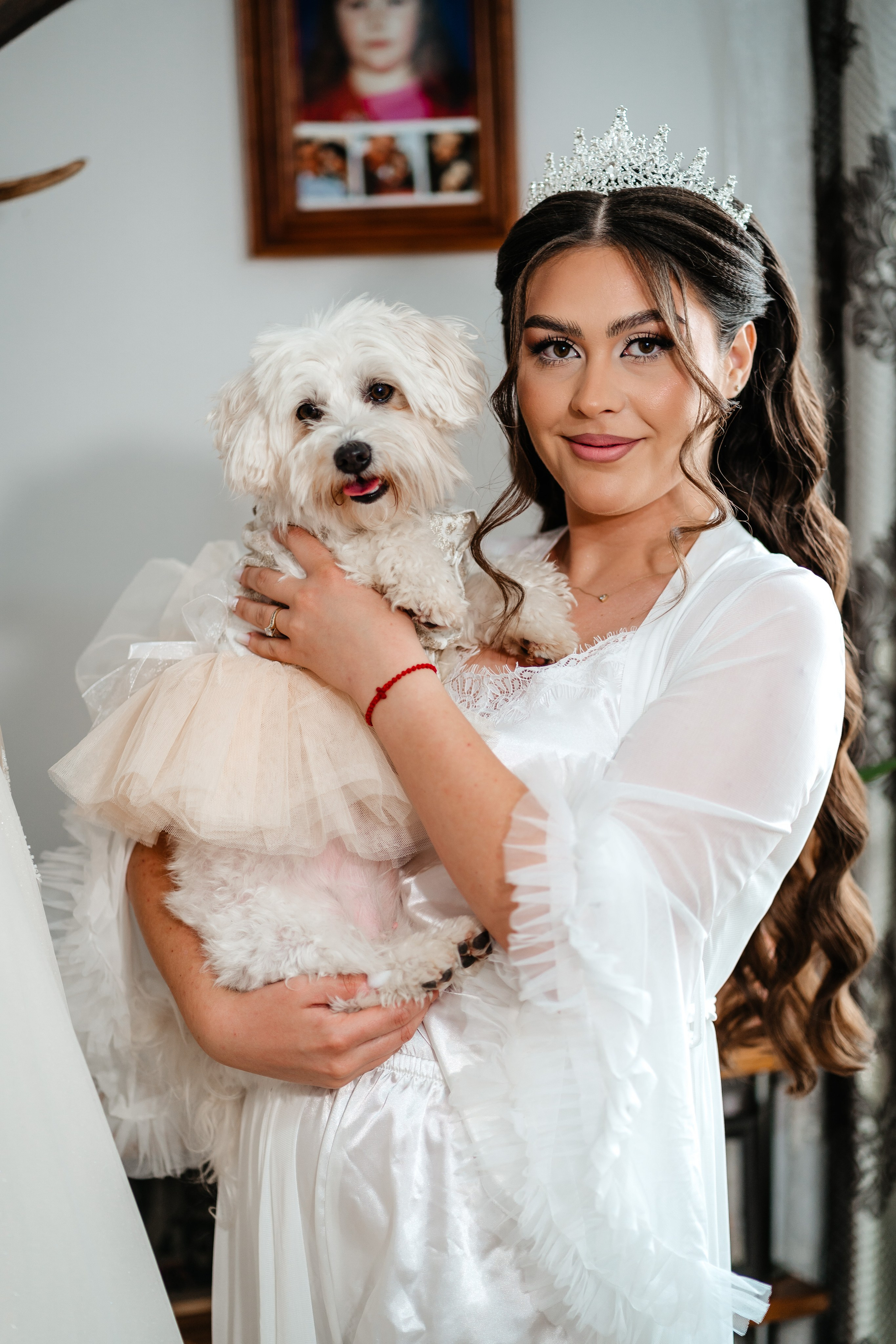 Portofoliu. Derevlean Daniel Fotograf