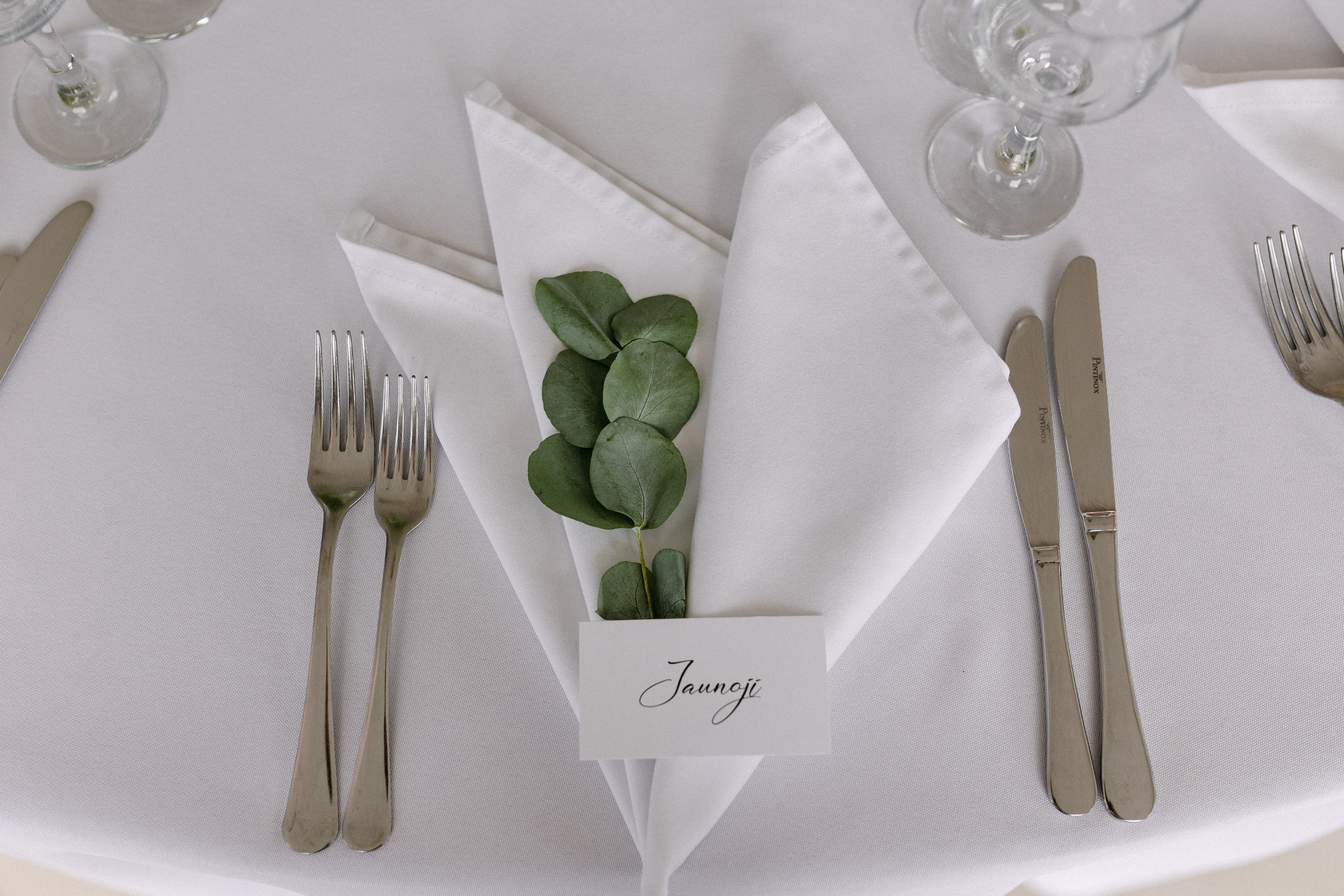 Vestuvės VU Botanikos sode Kairėnuose | Vilma ir Osmundas