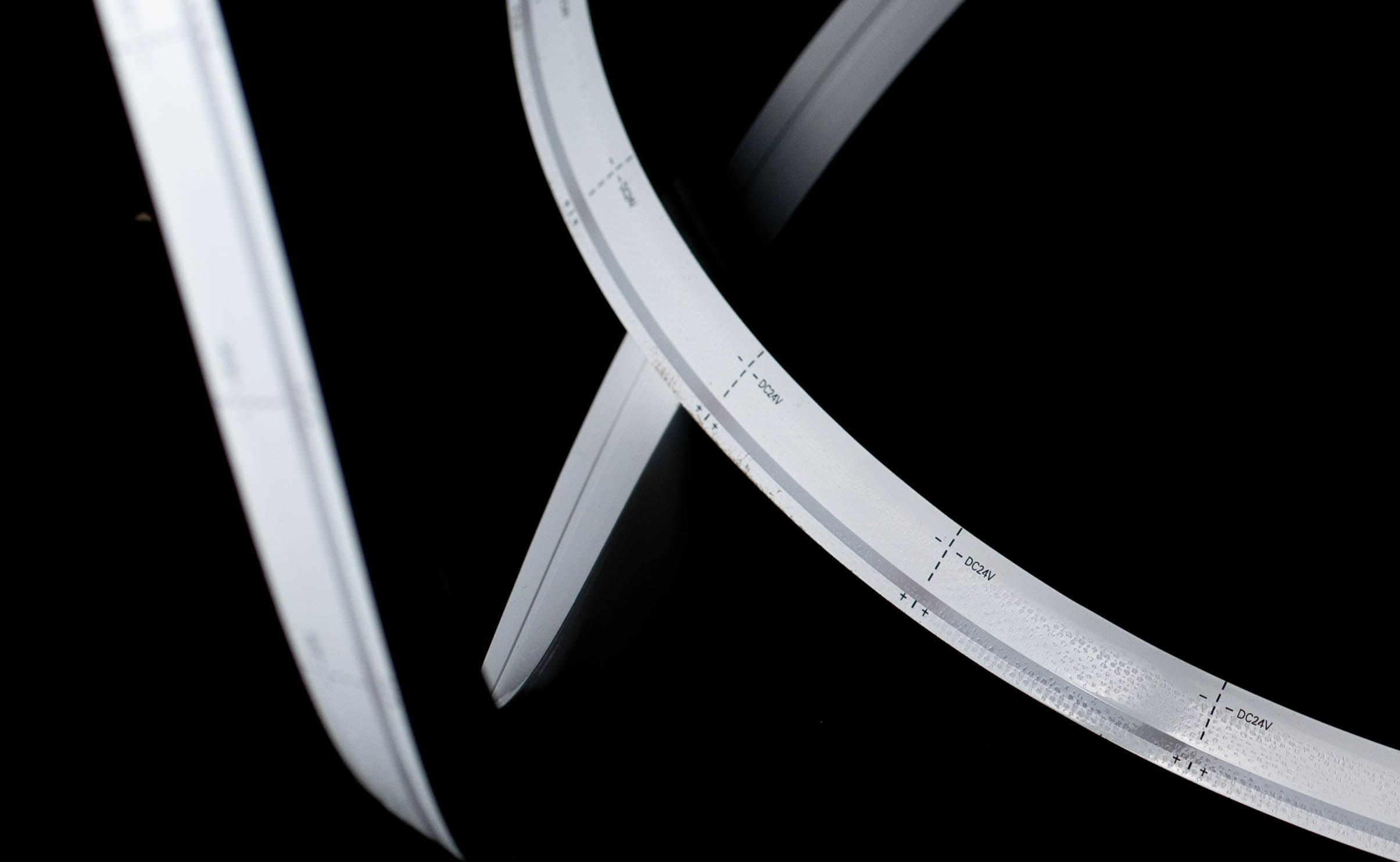 LED Lights. Baby Beast