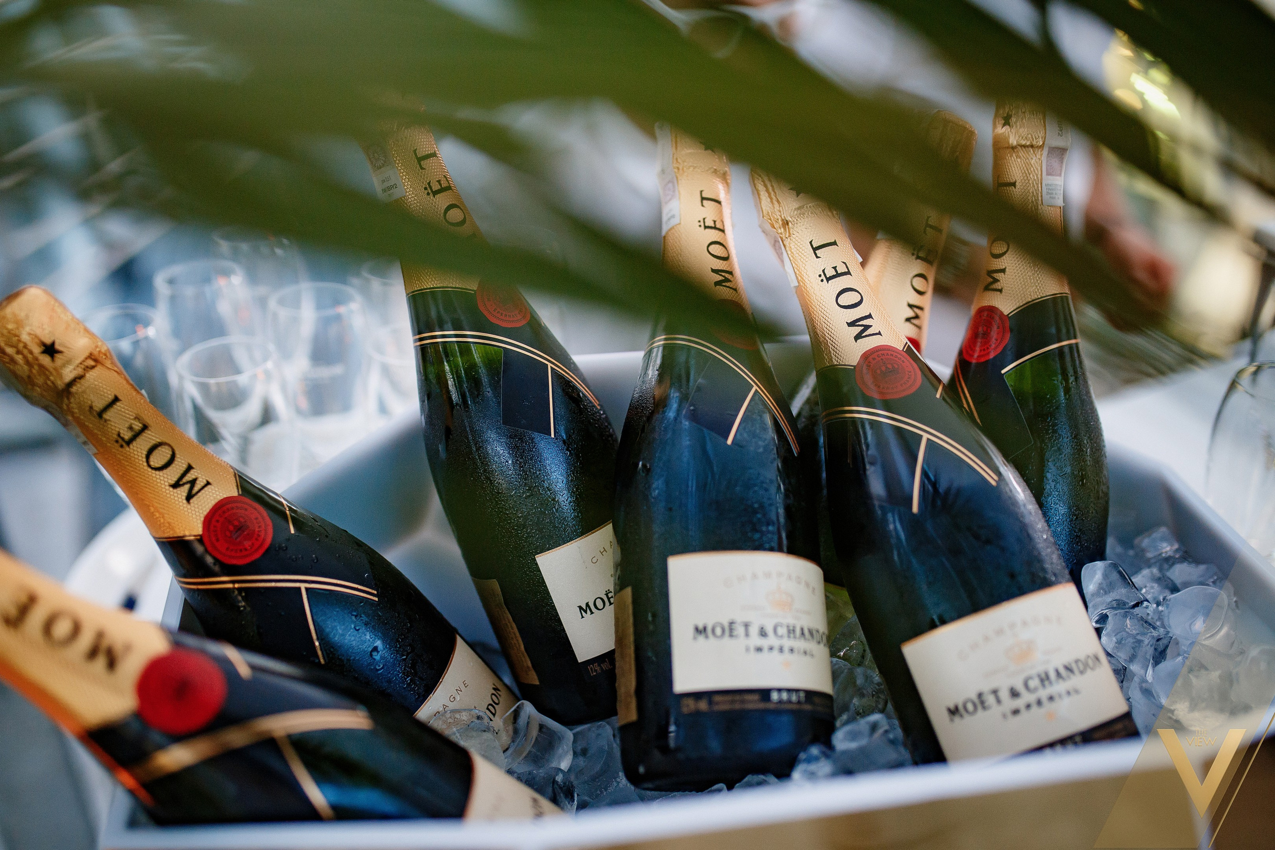 Parties. Alex Kibuk — Fotografia Imprez Firmowych i Eventów w Warszawie