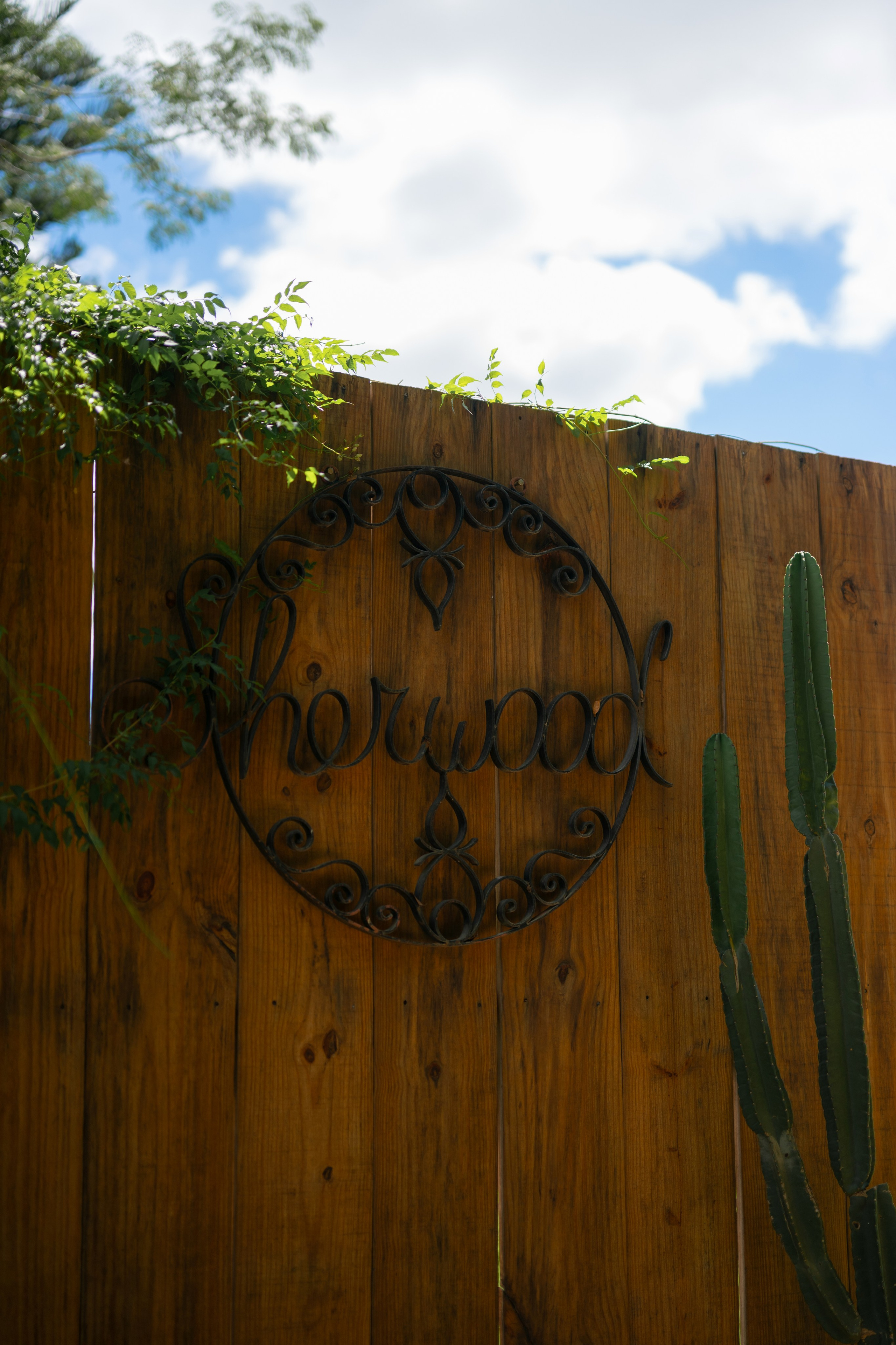Bia e Gabriel.Pós-wedding.Sherwood. Fotógrafo de Casamento, grávida, Retrato, Corporativo