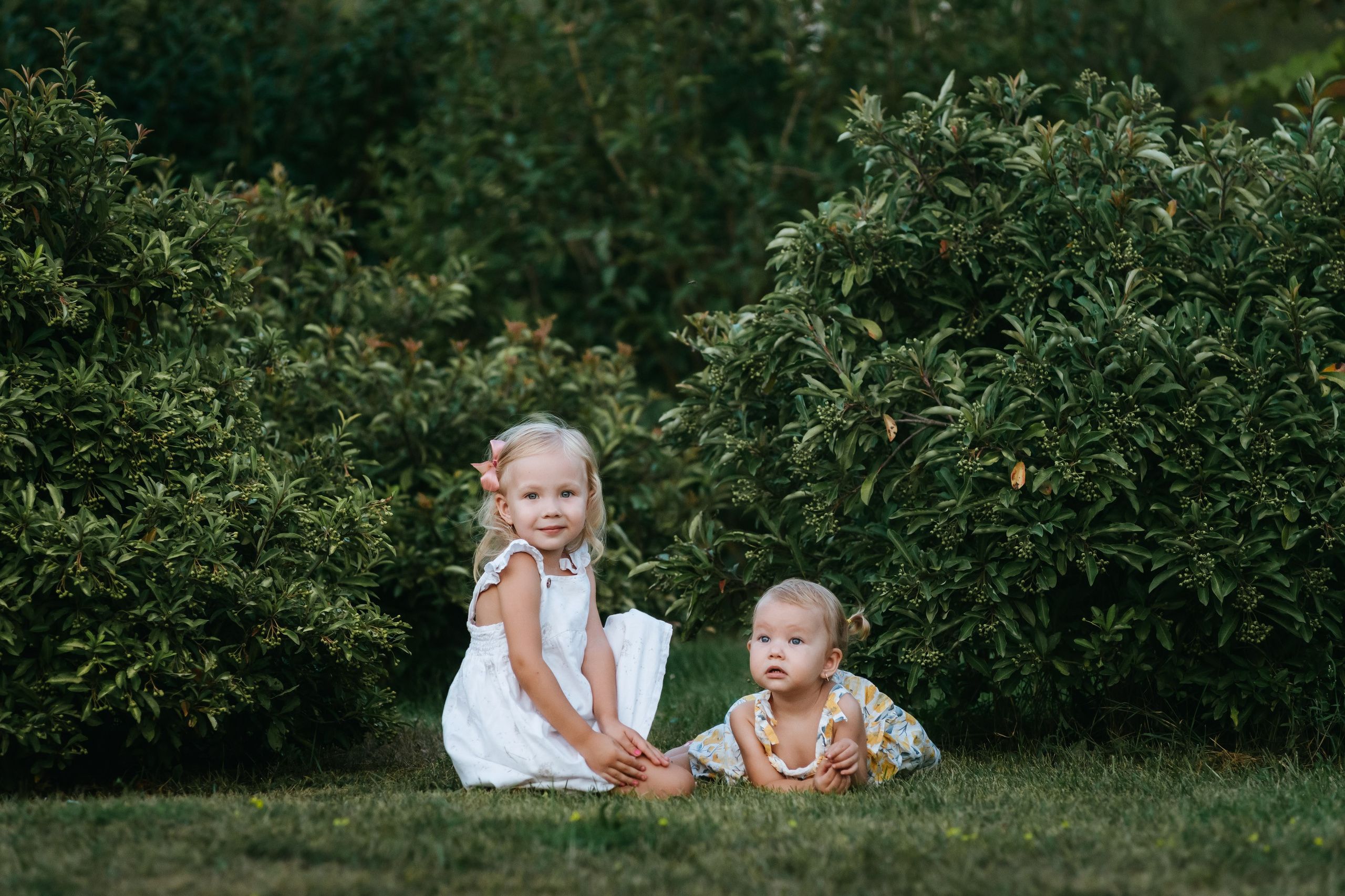 Fotografii de Familie. Fotograf de nuntă și familie Chisinau Moldova