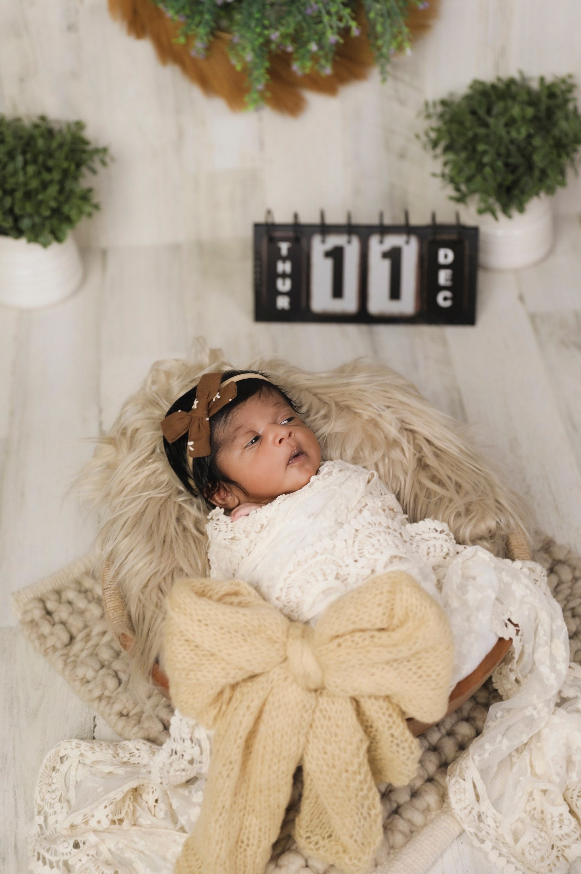 Newborn. AP Lens Photography | Newborn, Maternity, Milestone & Family Photographer | Little Elm & DFW, TX