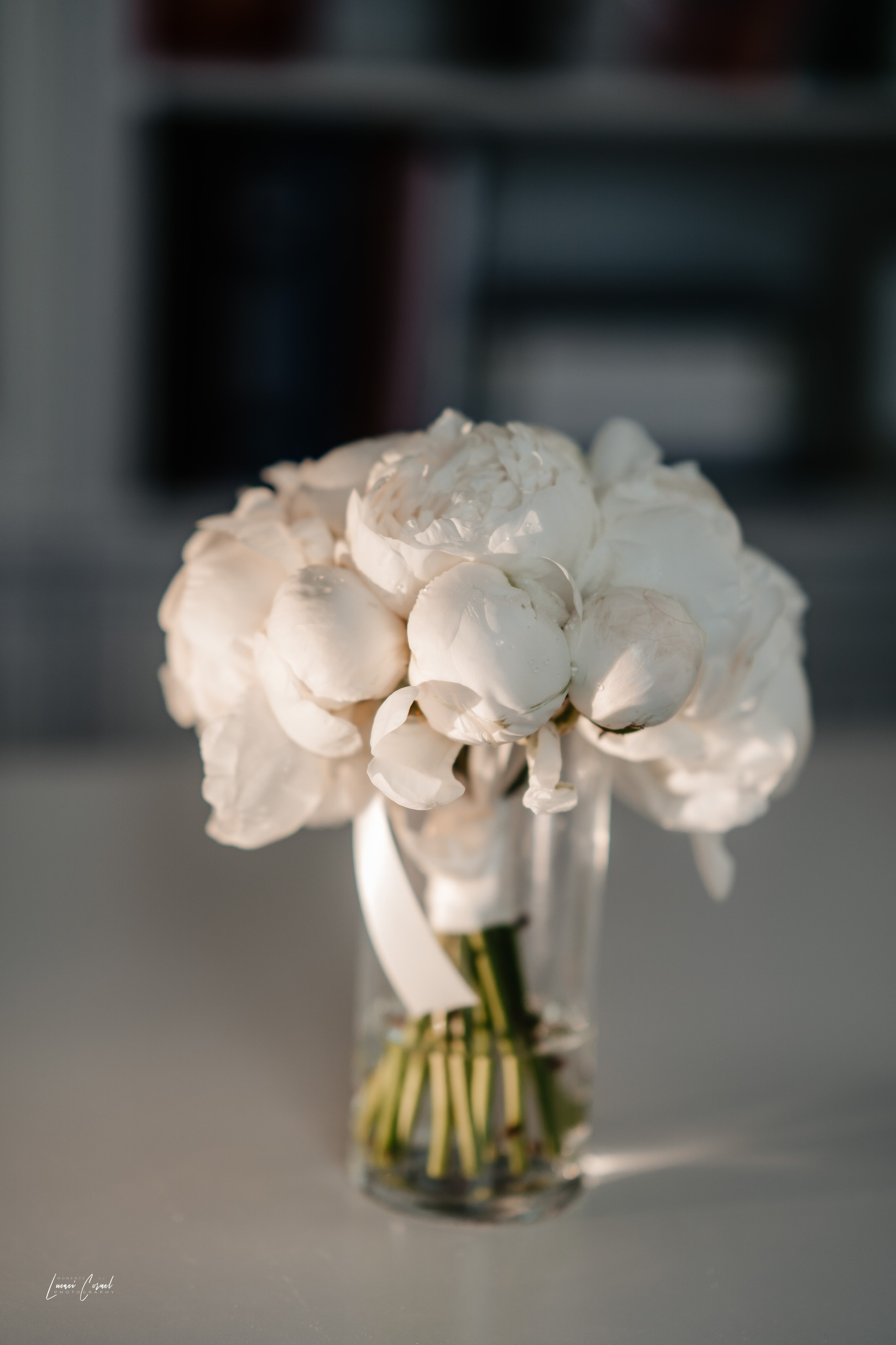 Adina & Alexandru – Nuntă elegantă în Roman. Fotograf de nuntă, corporate, botezuri, majorate și aniversări Roman, Lucaci Cornel