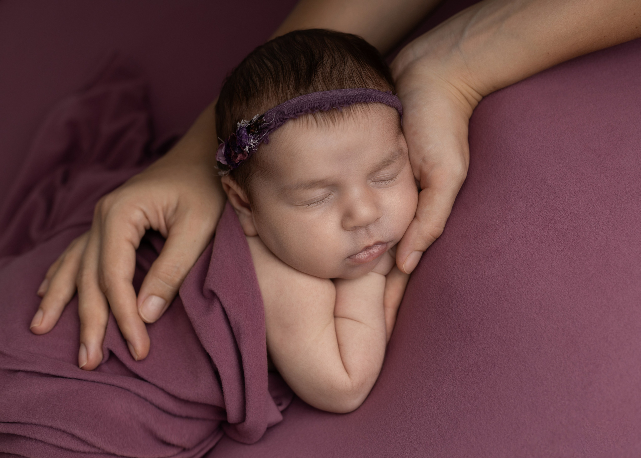 Каталог 17 Newborn. Катерина Шустерман — фотограф Newborn, семейный в Израиле