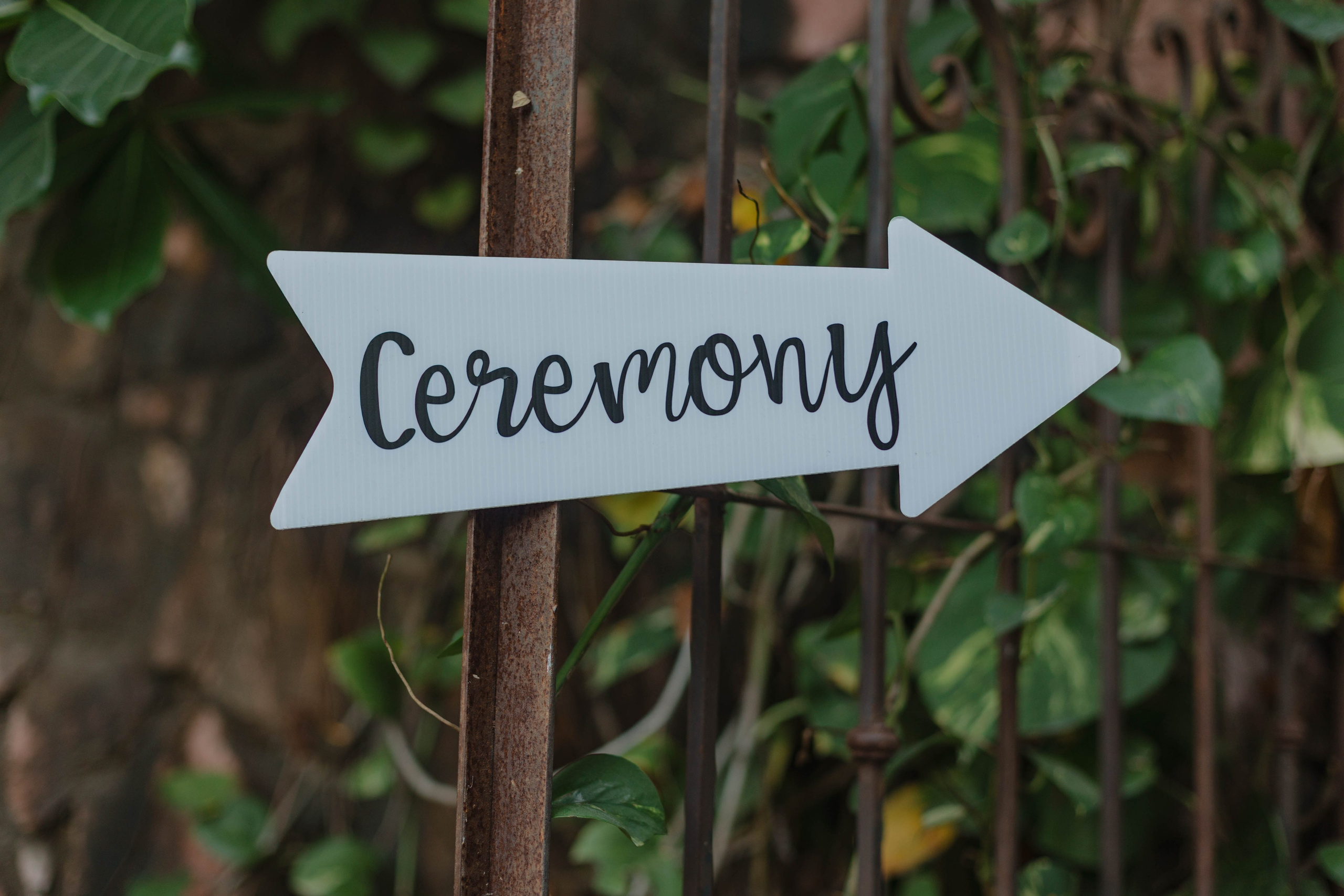 A Wedding at Casa Azul Profundo: Timeless Vows in Puerto Vallarta