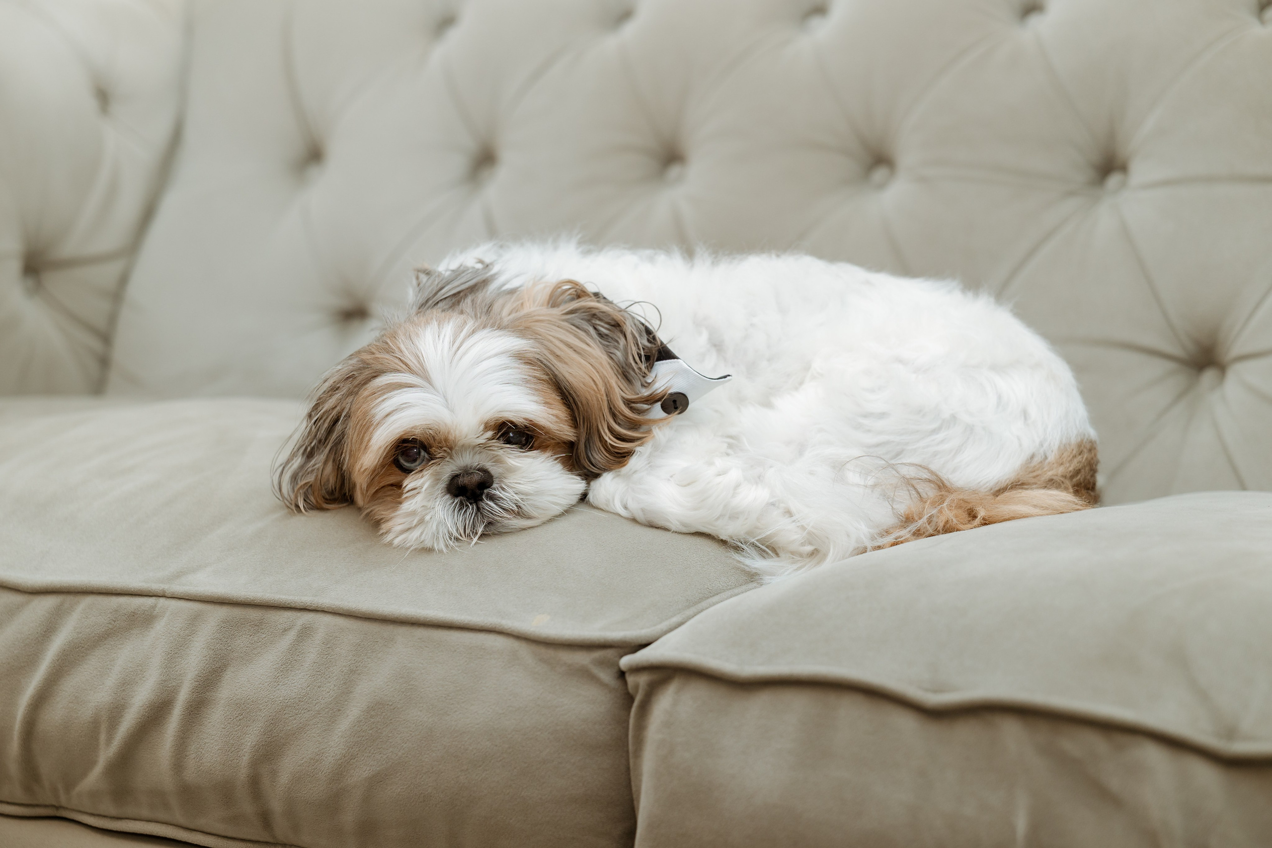 Alexandra and Jacob, Liberty House Jersey City, NJ. Wedding Photo & Video