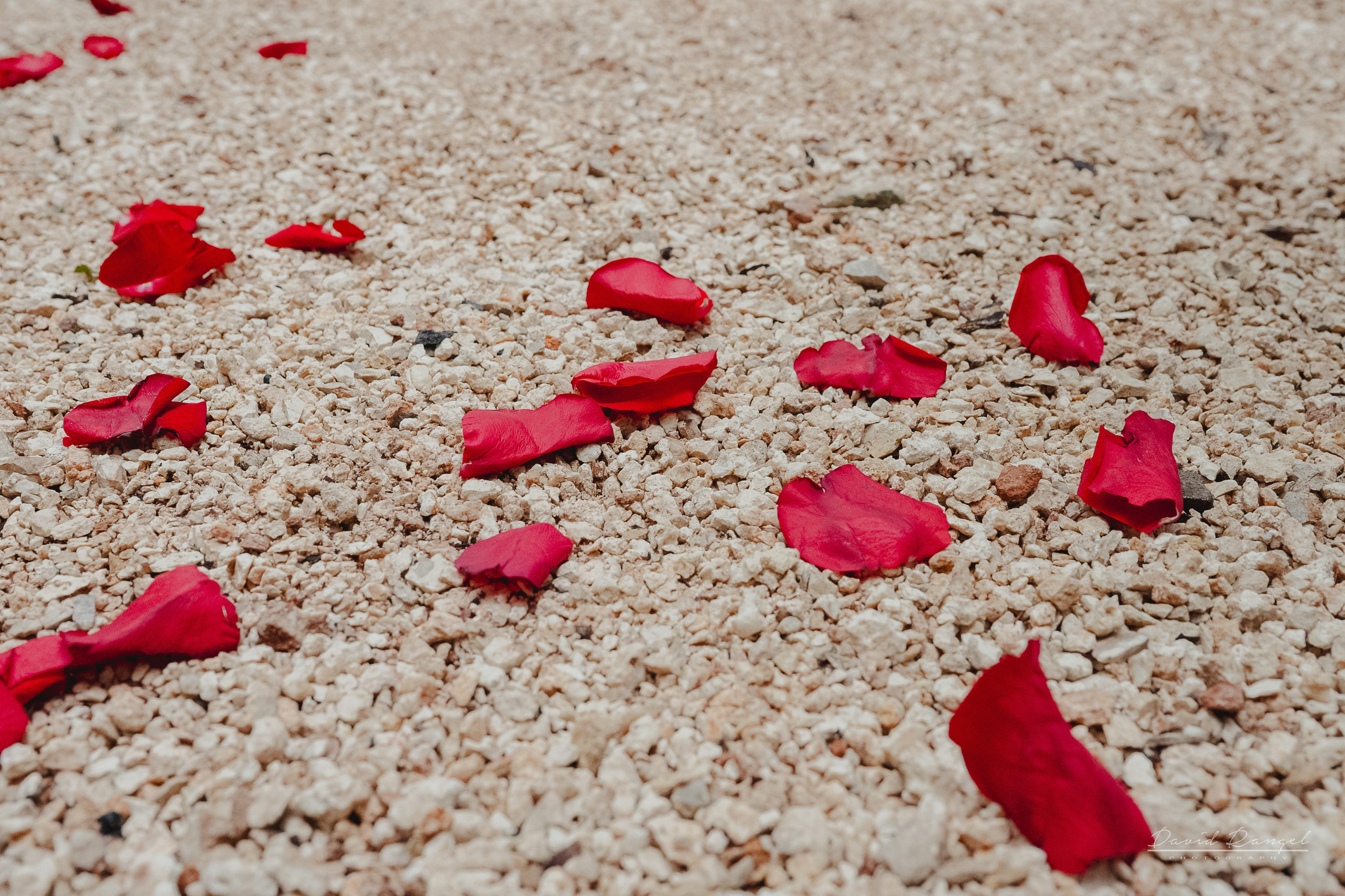 Destination Wedding in Tulum, Mexico. Destination wedding photographer based in Cancun and Riviera Maya with service worldwide