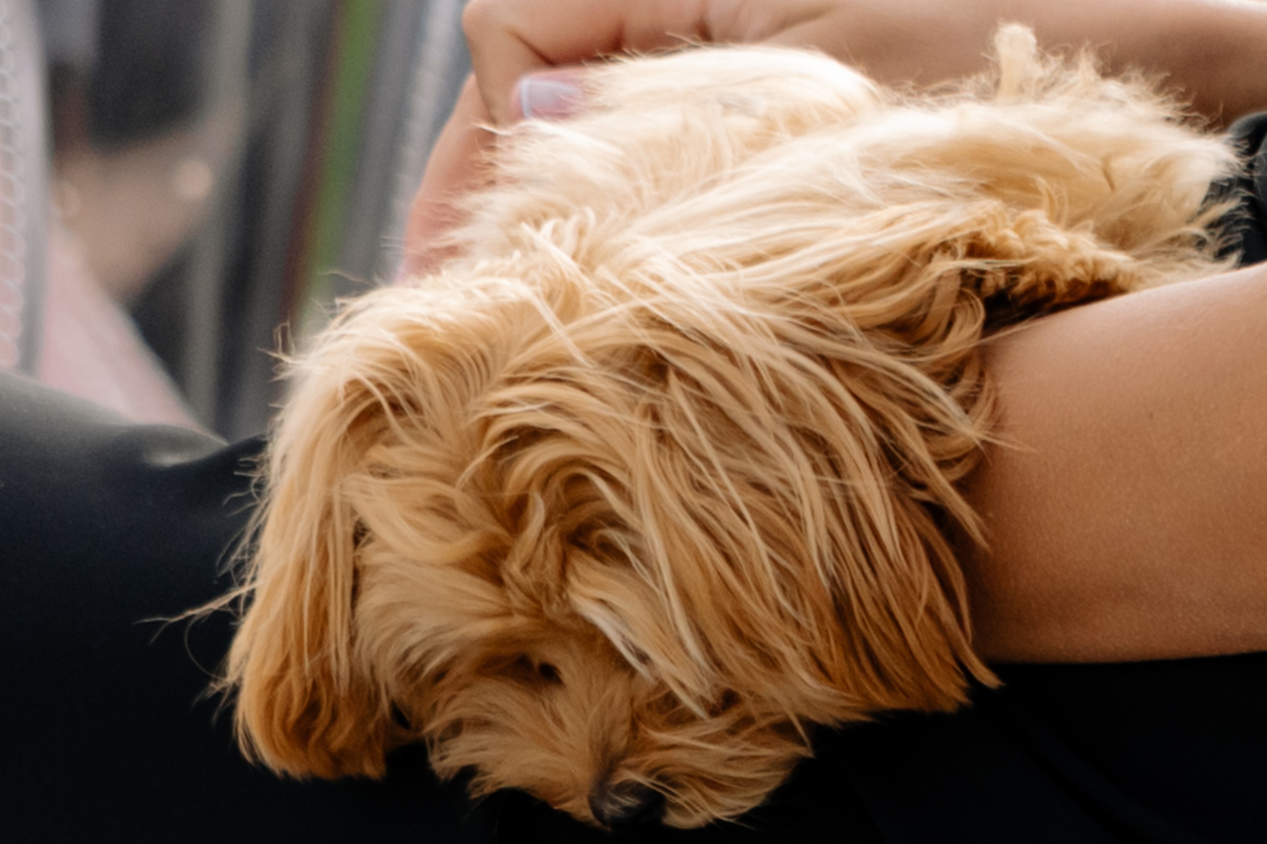 Diana and Nikita. Wedding in New York. Wedding photographer and videographer New York | New Jersey