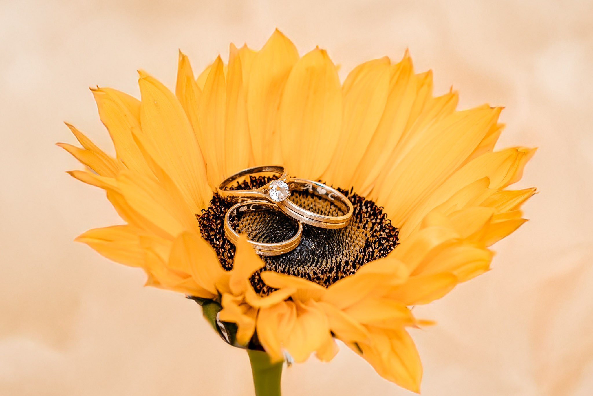 Familia Maerean — 05.10.2024. DanFotograf.dk