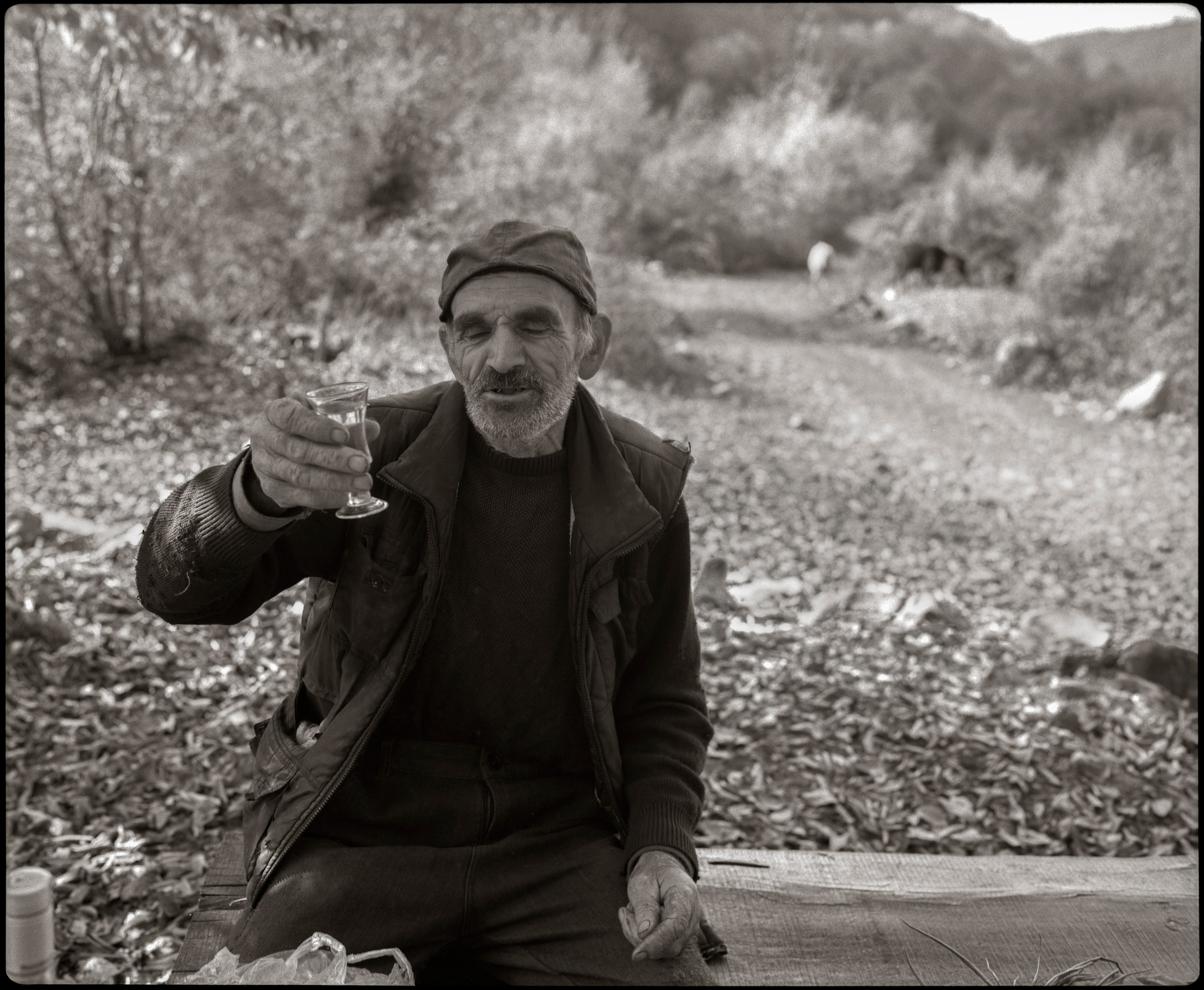 Tractor Zakir. Ismailly, 2018