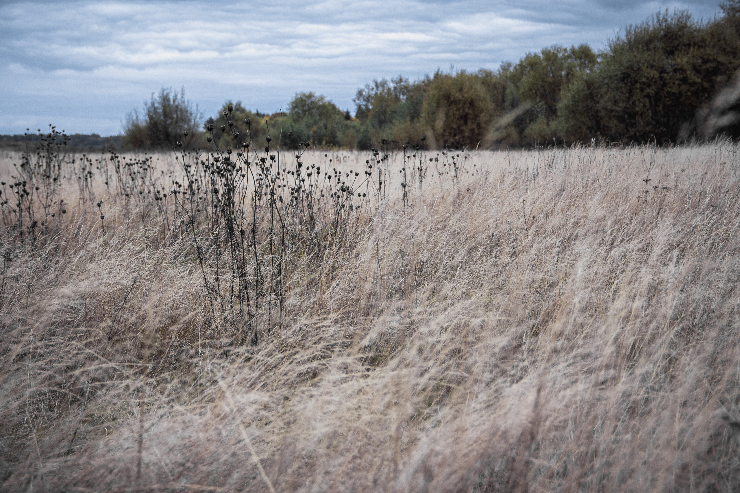 Verlassenes Russland: Manturowo im Gebiet Kostroma. Maria Chistyakovа — Fotografin in Karlsruhe, Baden-Baden und Umgebung