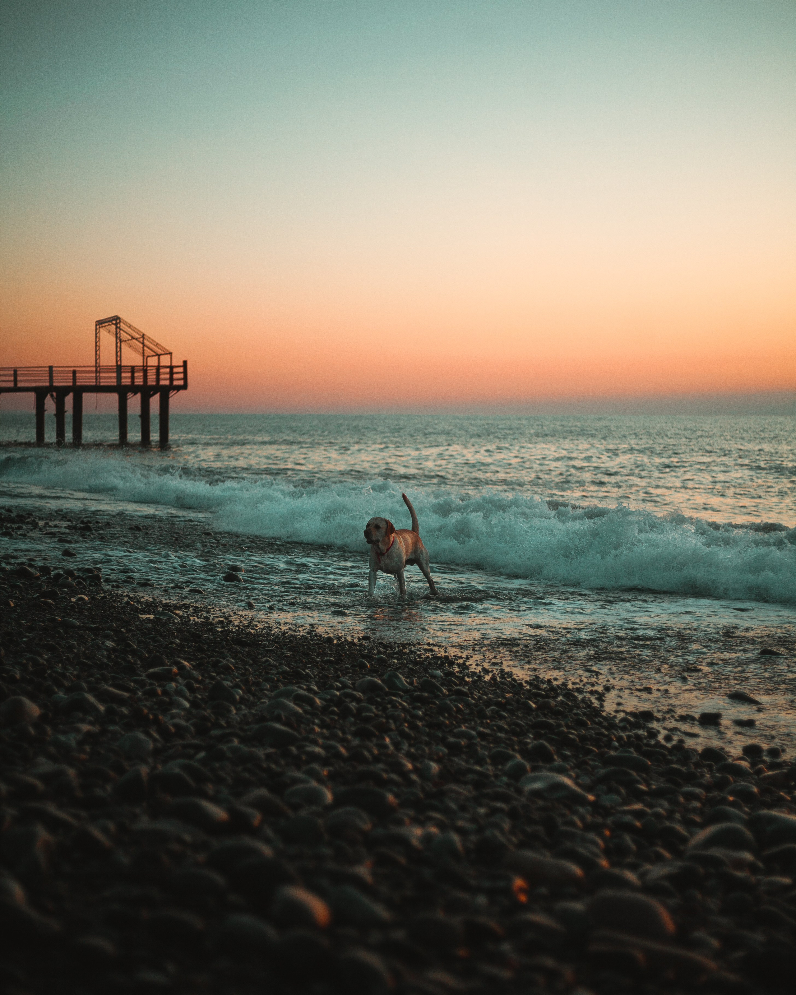 B A T U M I. Bspander