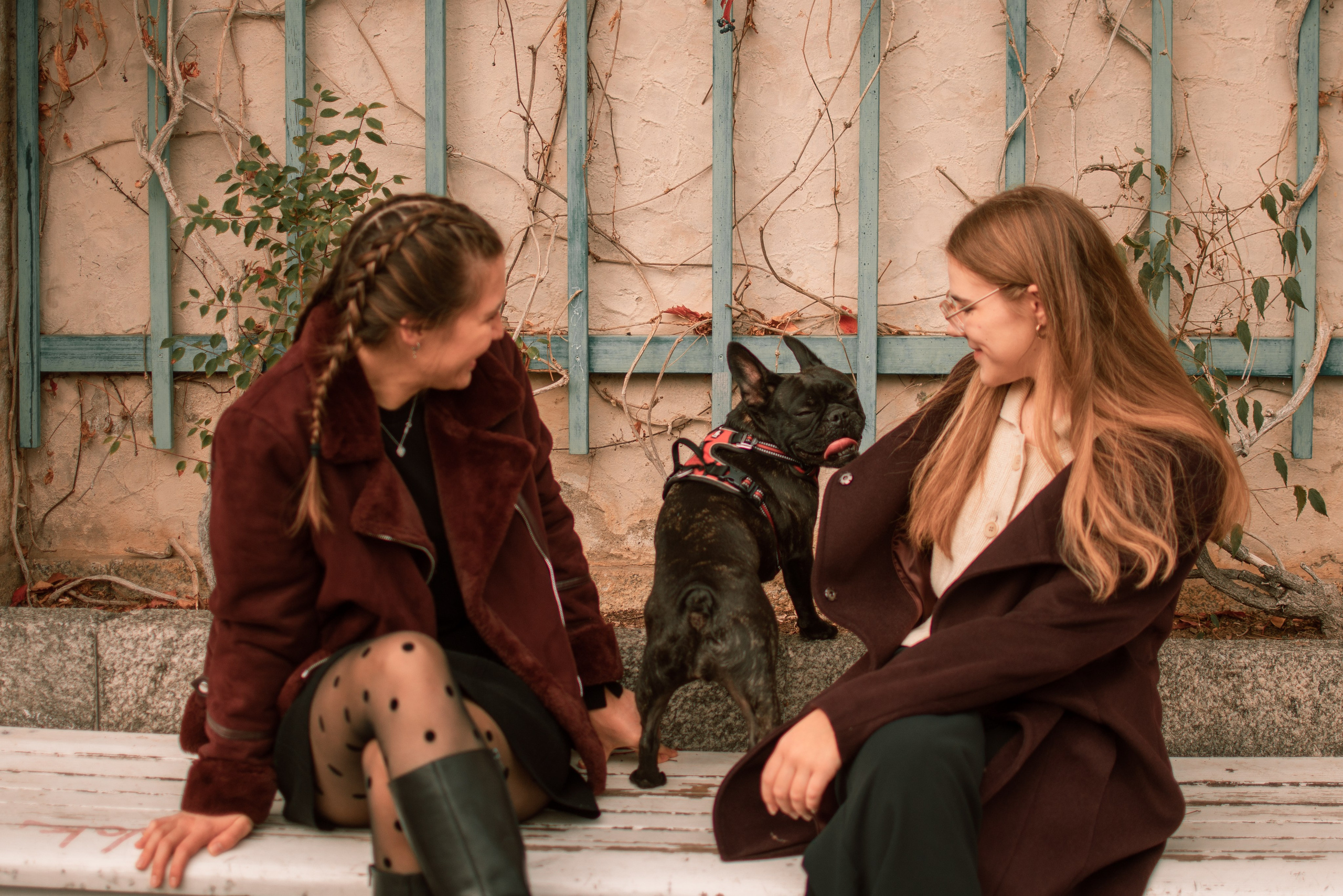 Осень. Семейный и детский фотограф