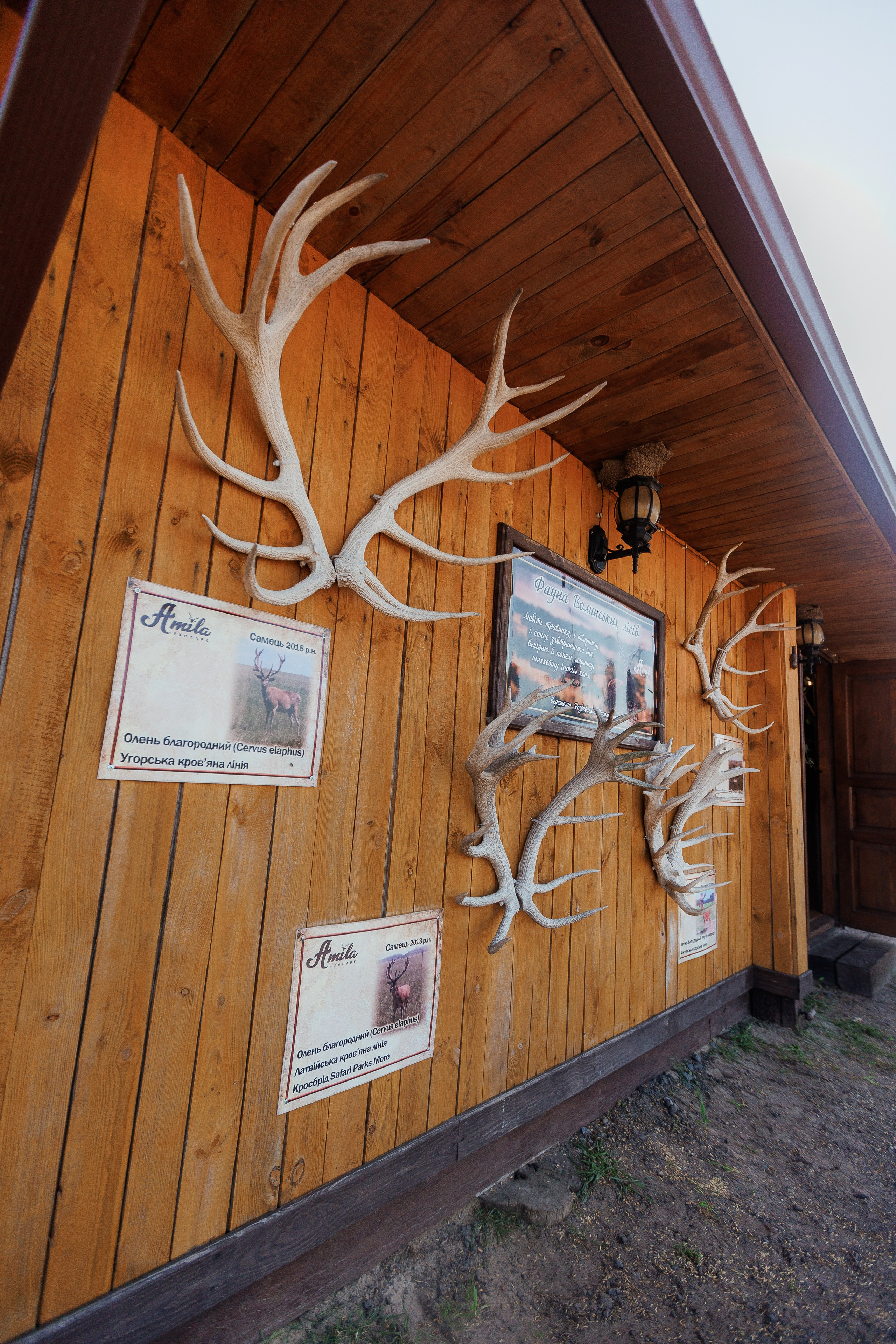 Екопарк Аміла. Ірина Терещук