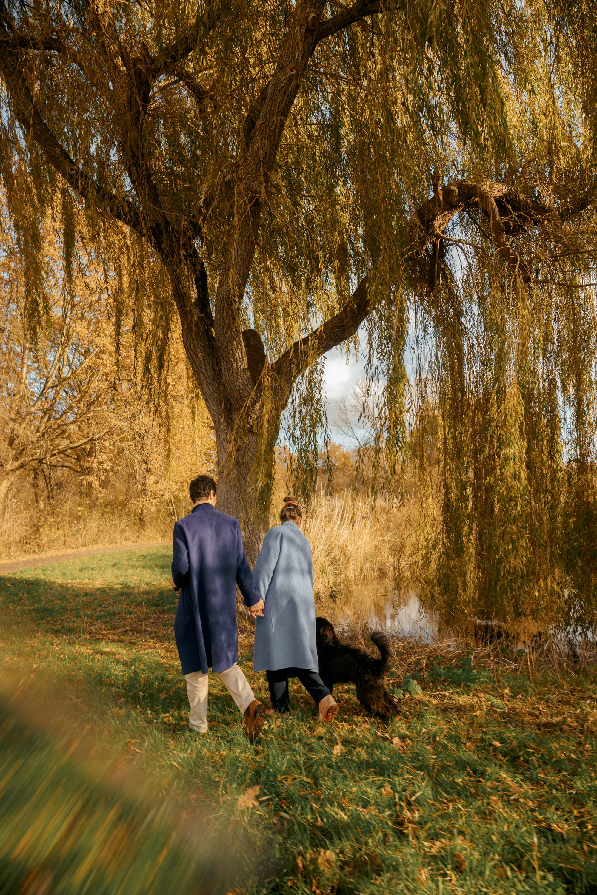 Pet Photoshoot in Spijkenisse | Rotterdam. Romantic & Soulful Photography by Natalia Olhova in Rotterdam