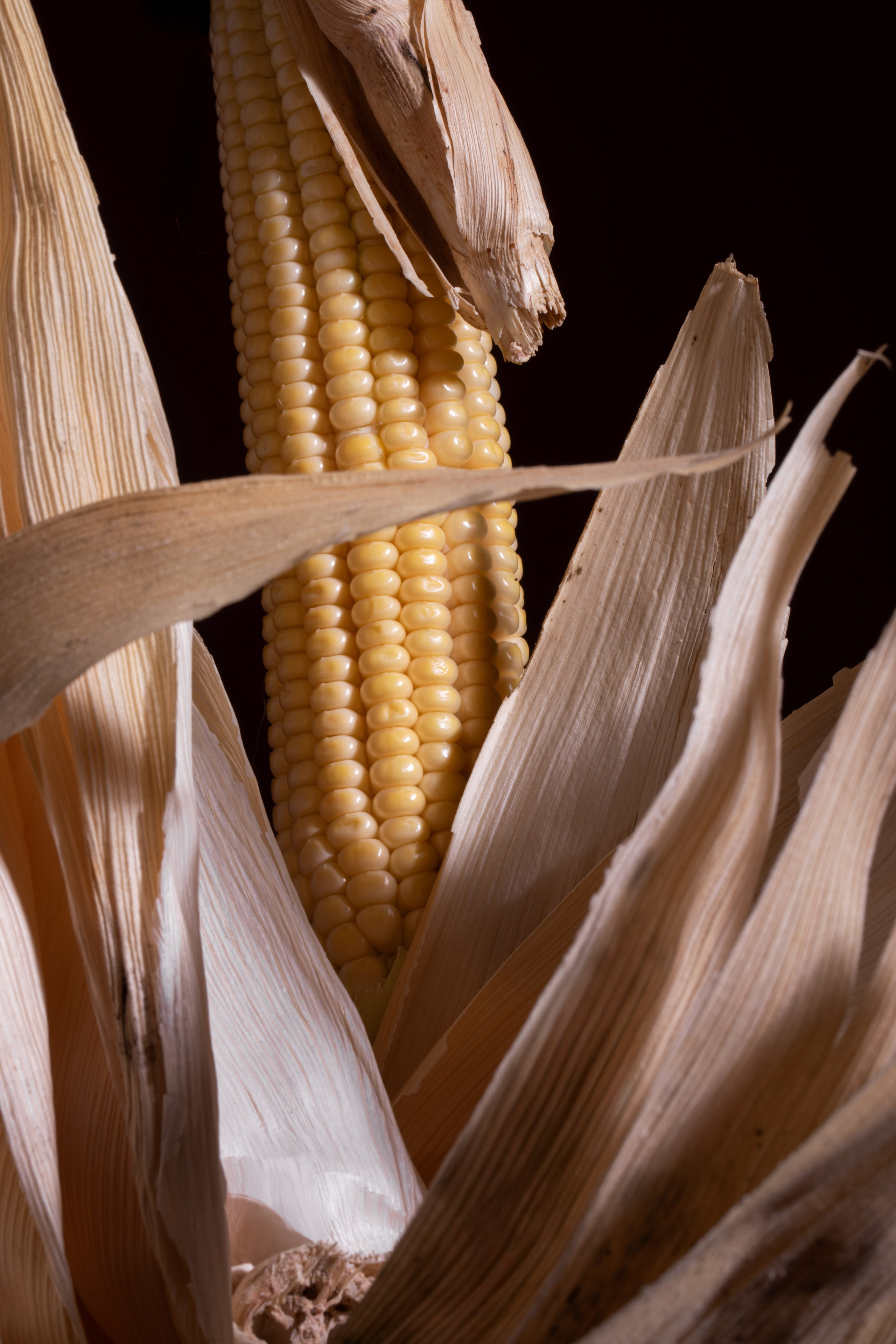 Ejercicio de estilismo parte del Máster 'Vanguardia y Creatividad' de Madrid Flower School.