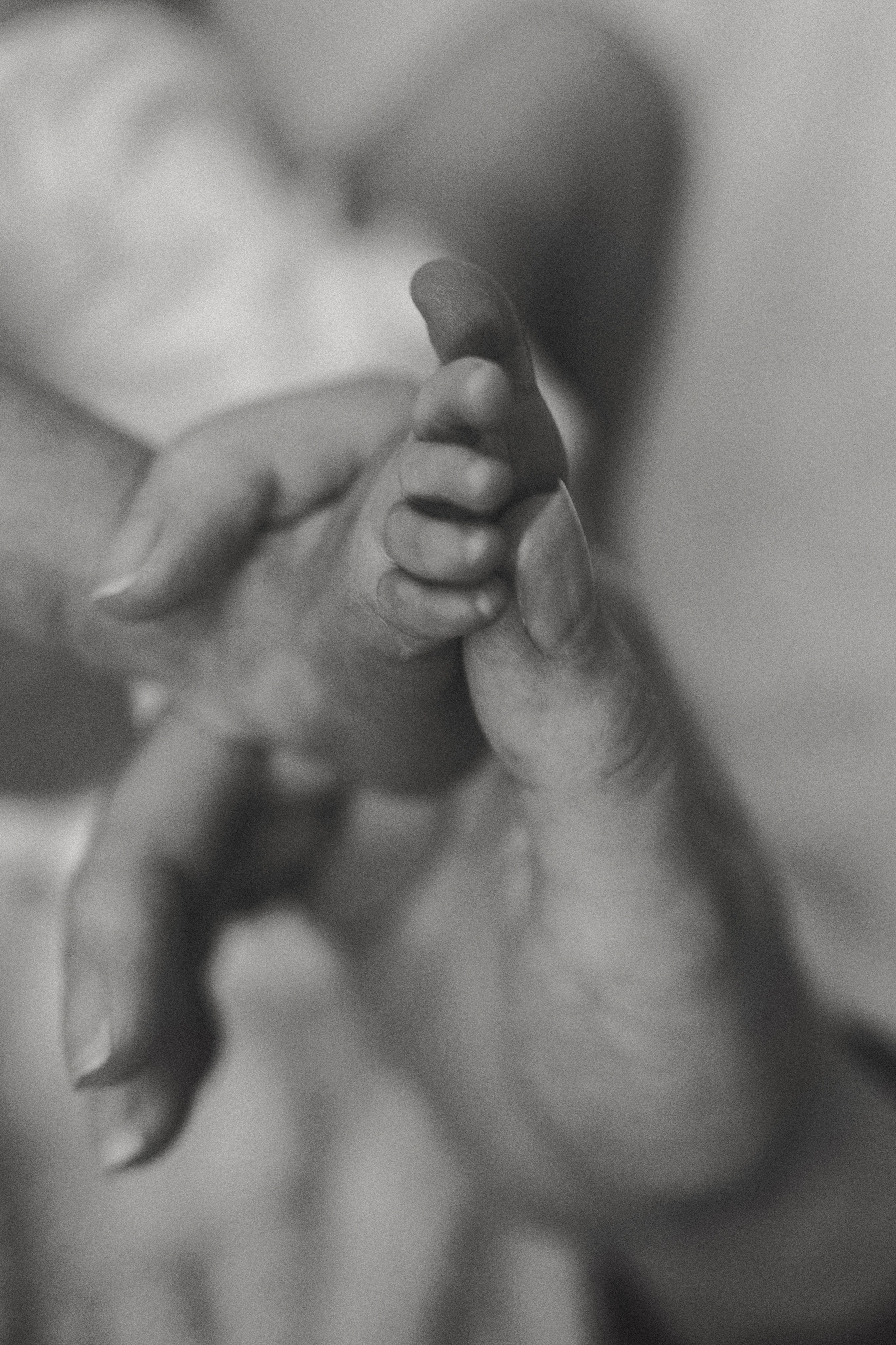 Vaniușa | primele zile de viață. Home