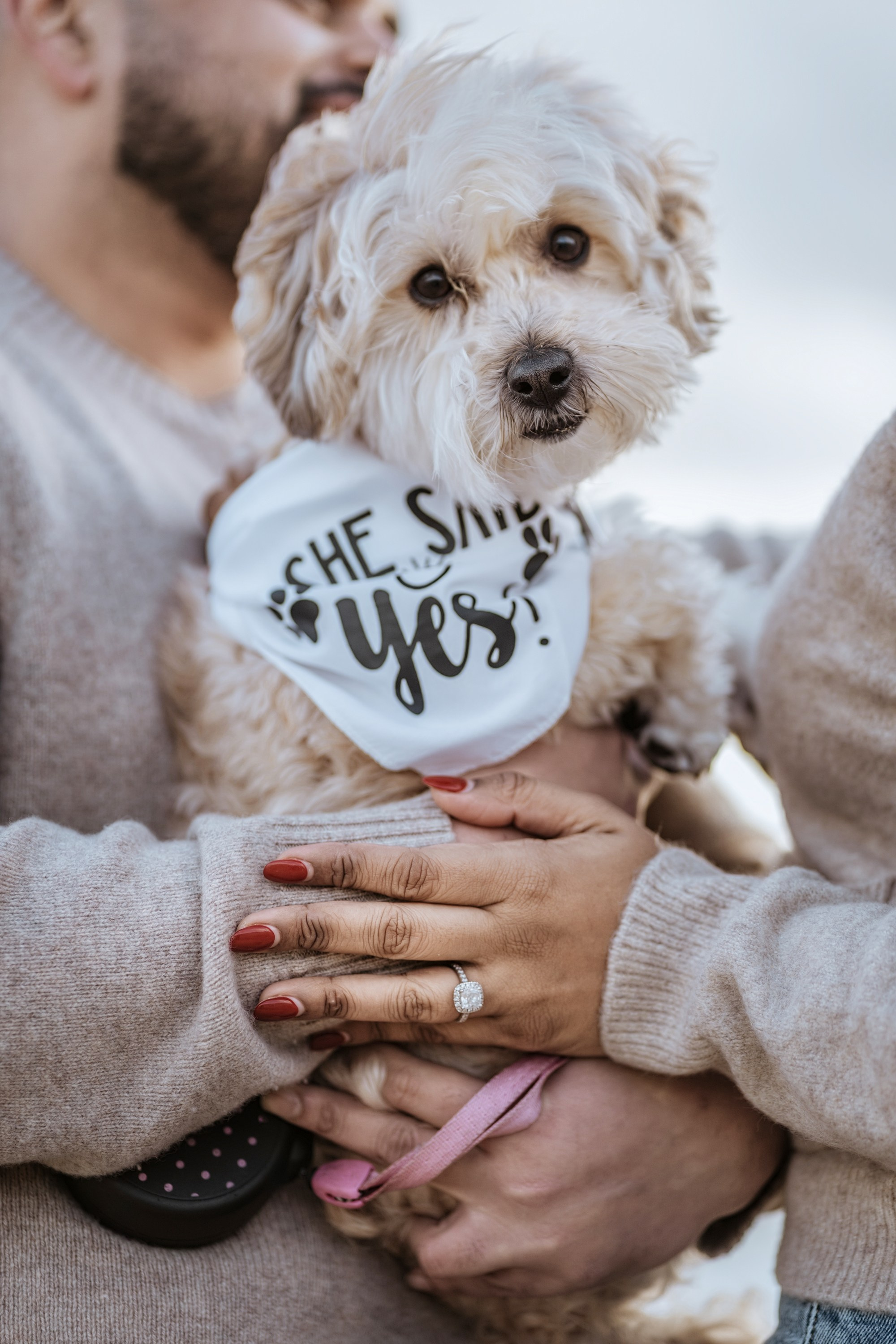 Elopements & Couples