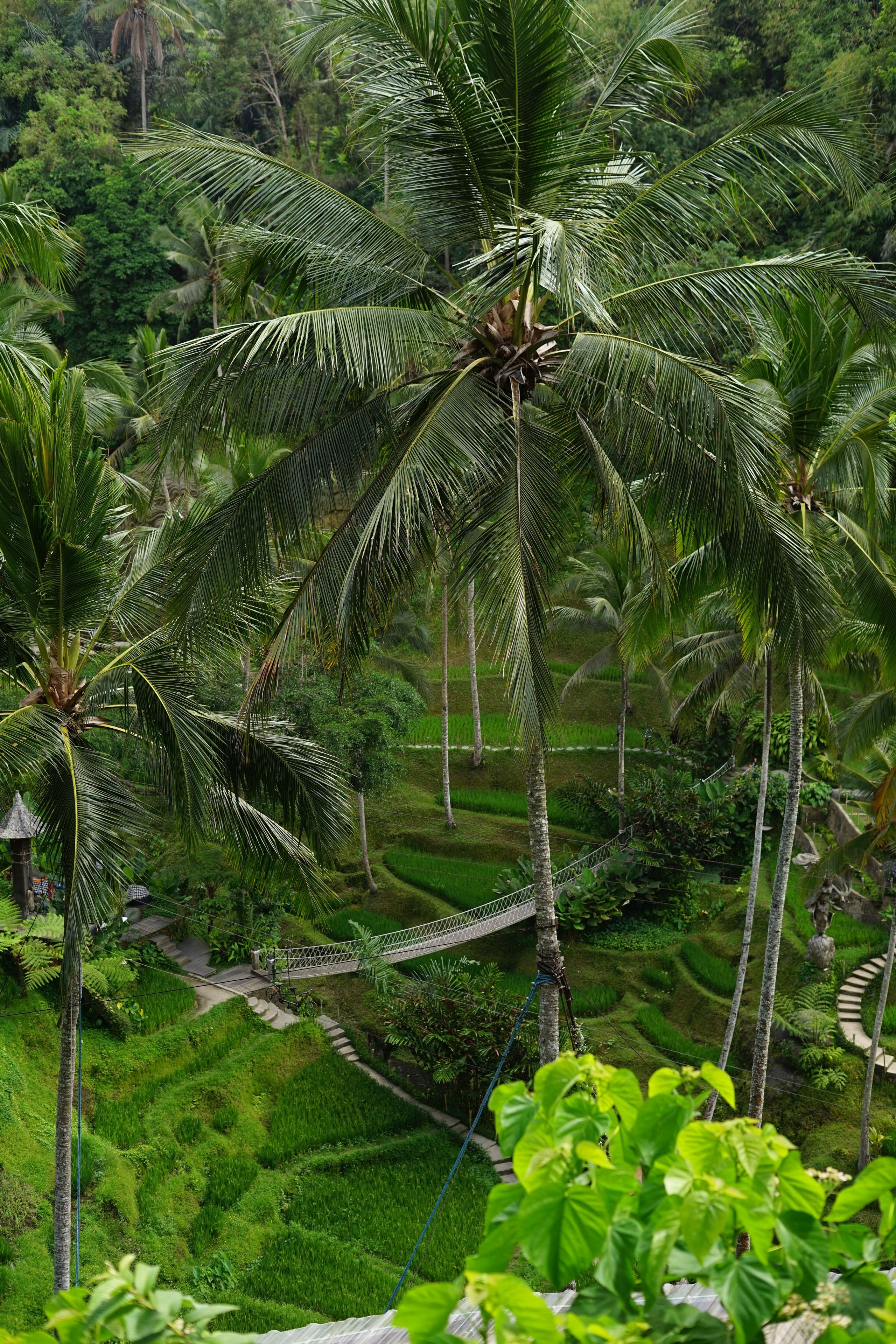 Bali. Hotel and travel photographer