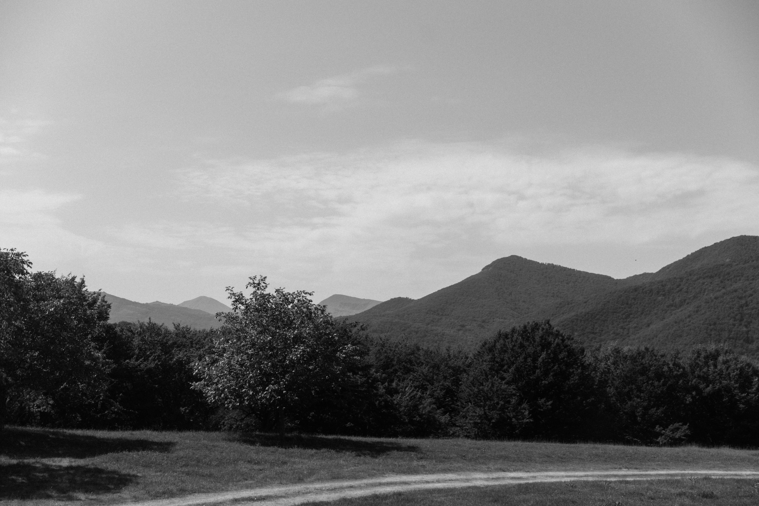 Yana & Danil. Photographer Anna Nazarenko
