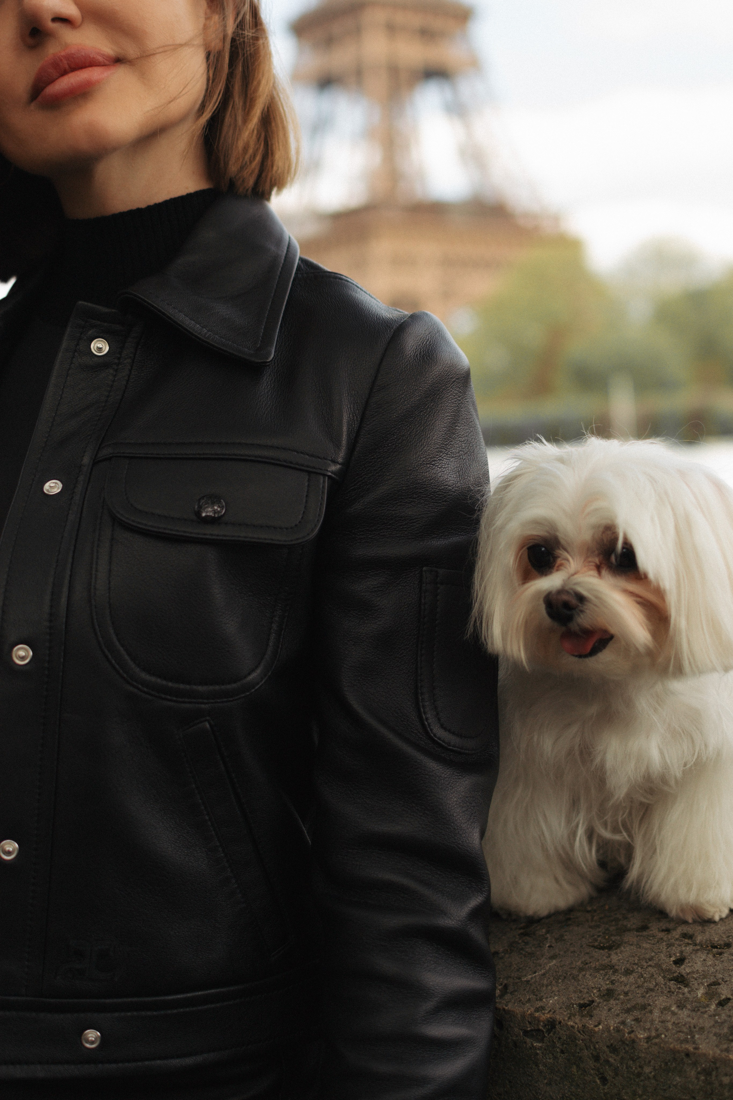 Tanya, Daisy et Jador. Photographe animalier à Paris Anna Pereira