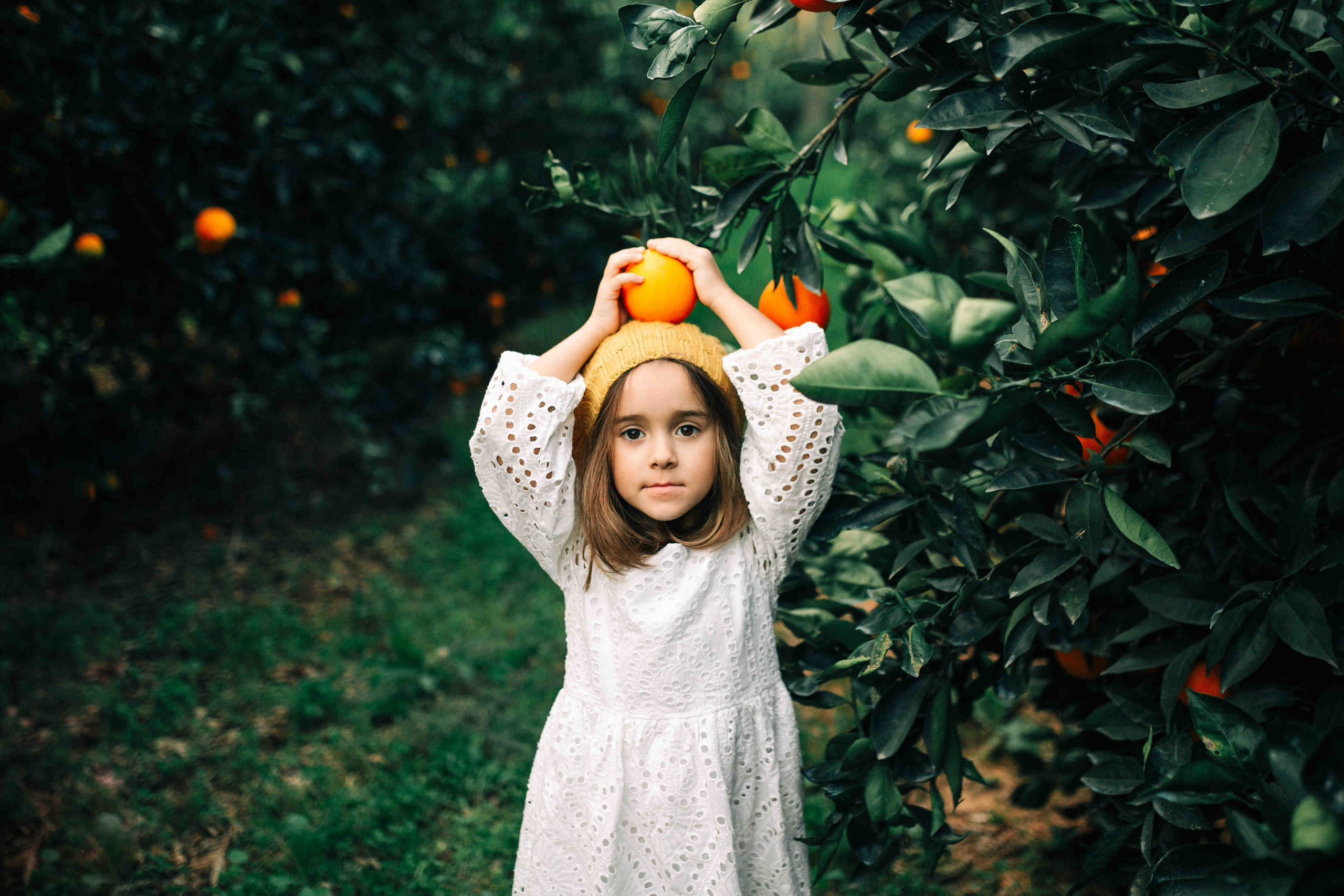 MANDARNINE GARDEN. Https://shi-photo.com/