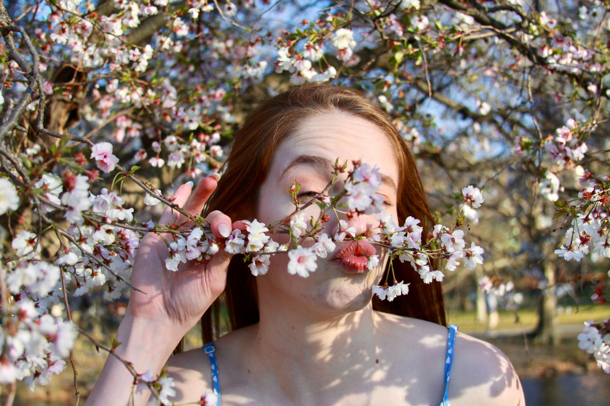 Cherry blossom mini shoot with Rach. Kelly Sang, graduation and portrait photographer in Boston