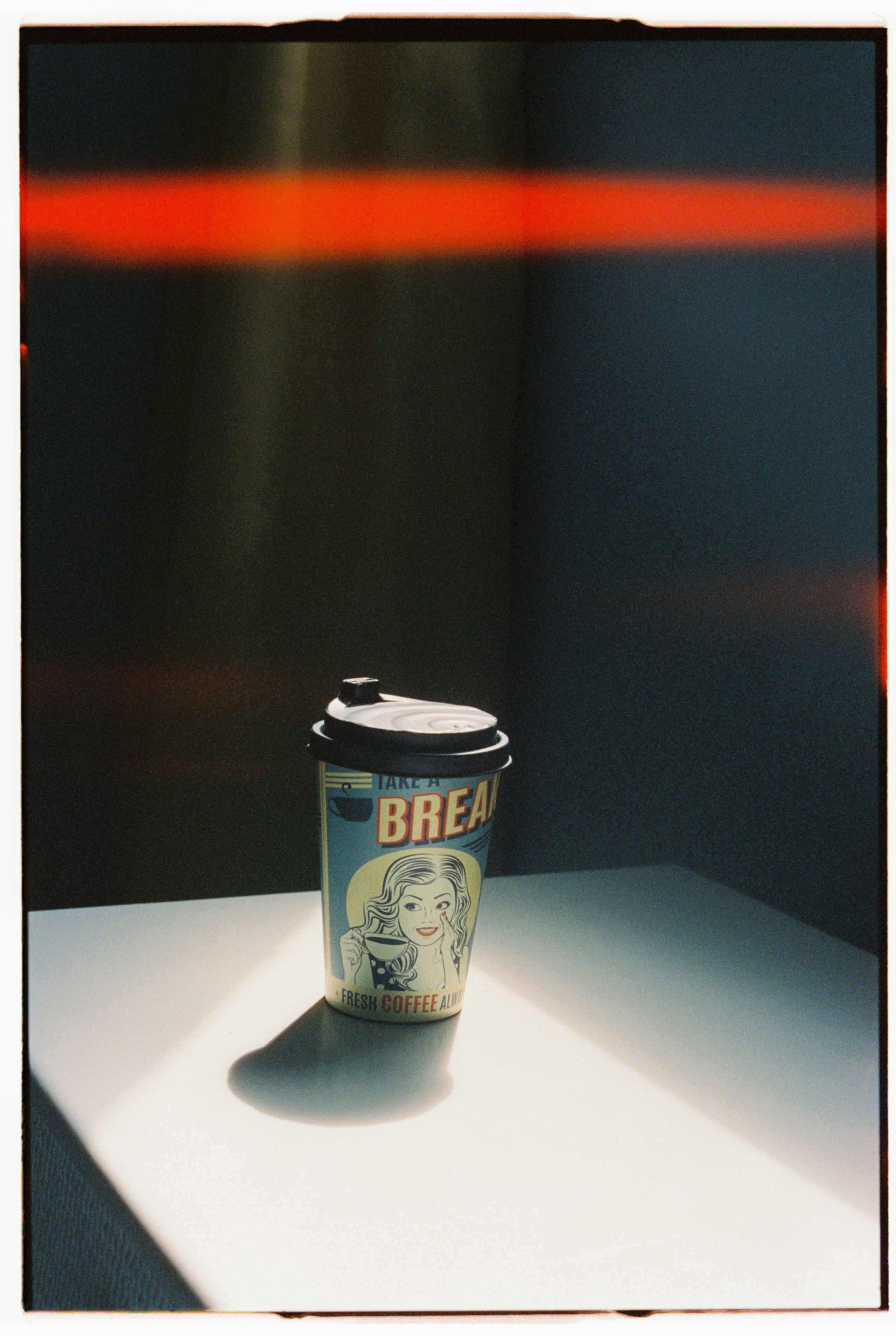 Madeira on film. Portrait photographer in Madeira — Marina Shtukina