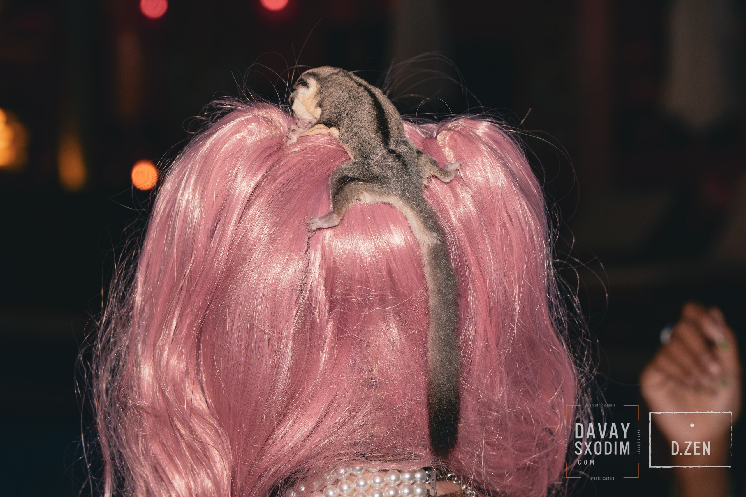 Фестиваль всех святых | Фоторепортаж | Афиша | DAVAYSXODIM.com PHUKET. АФИША|ФОТОРЕПОРТАЖИ|ИВЕНТЫ|ПХУКЕТ