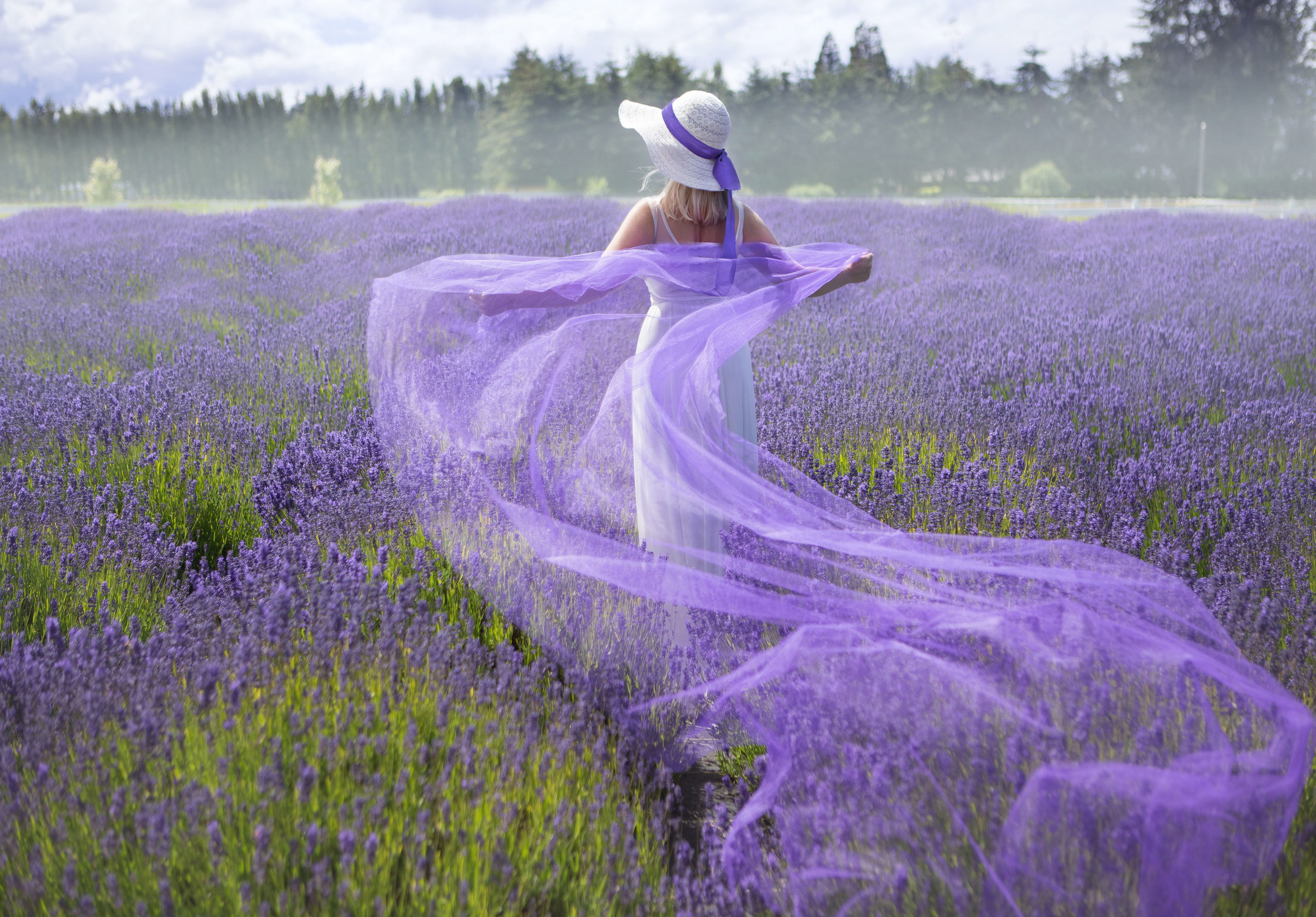 Lavender fields photoshoot. YuAnna studio. Family & Kids Photographer in Seattle area, located in