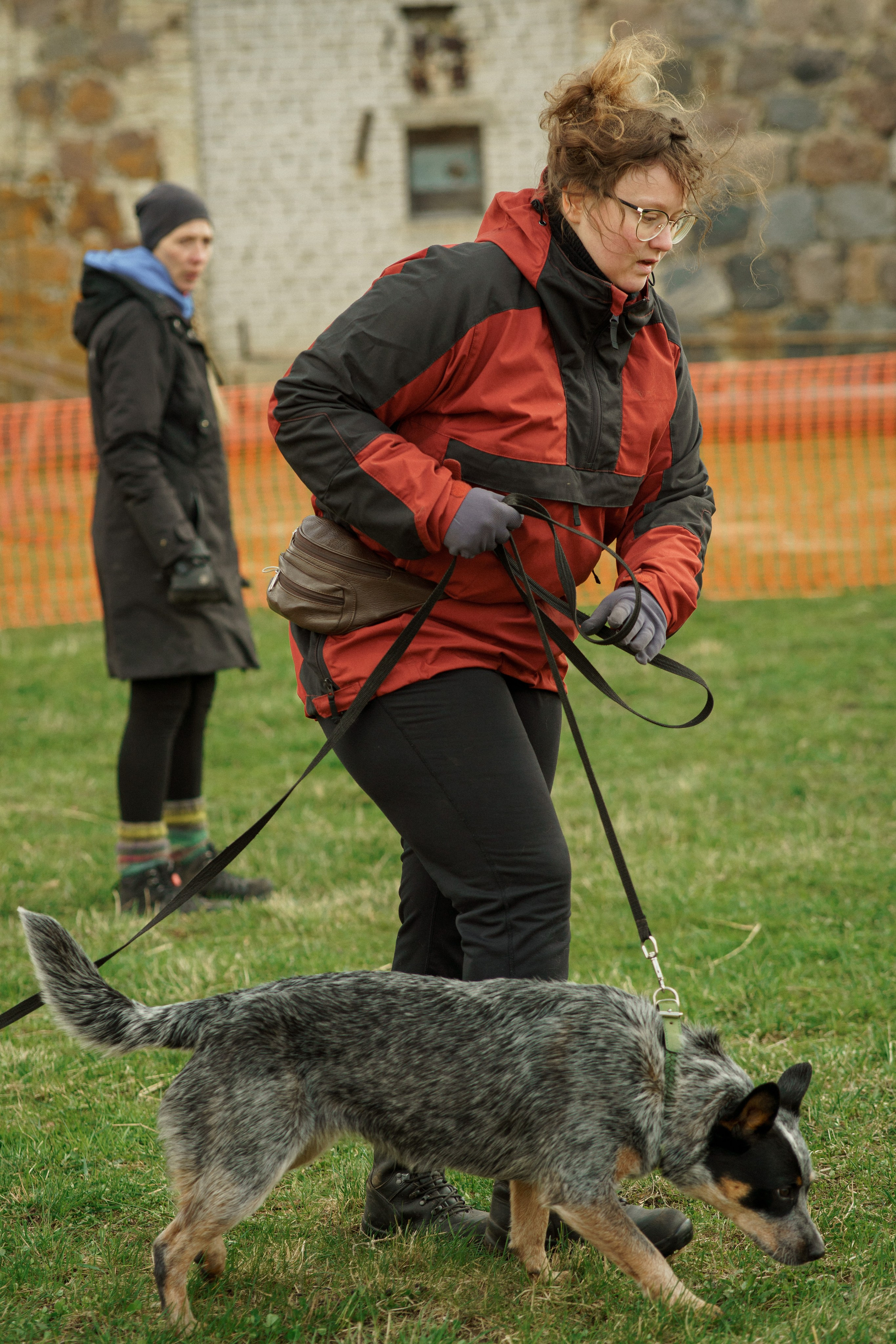 Herding Days, 26 apr. 2025. Kat Laisaar — Pet photographer in Tallinn