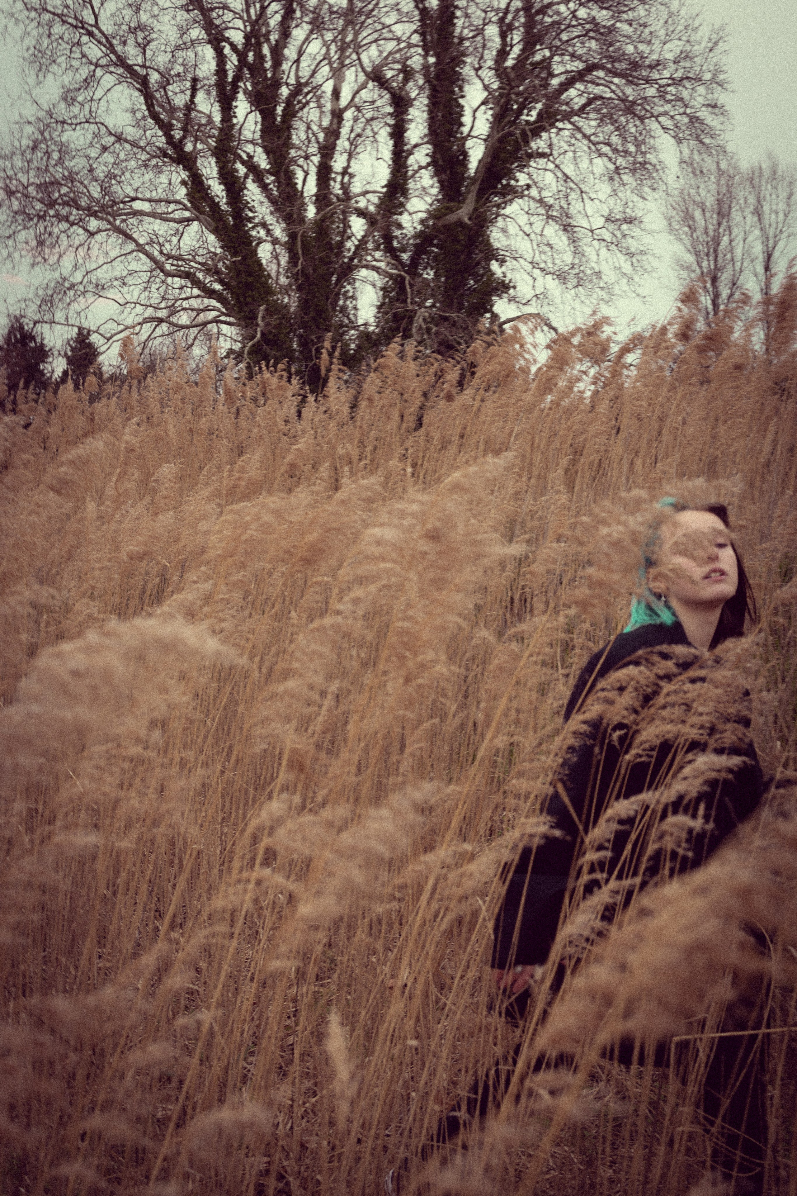 Portrait de femme charismatique. Histoires d’amour, séances photos de famille et de mariage en France