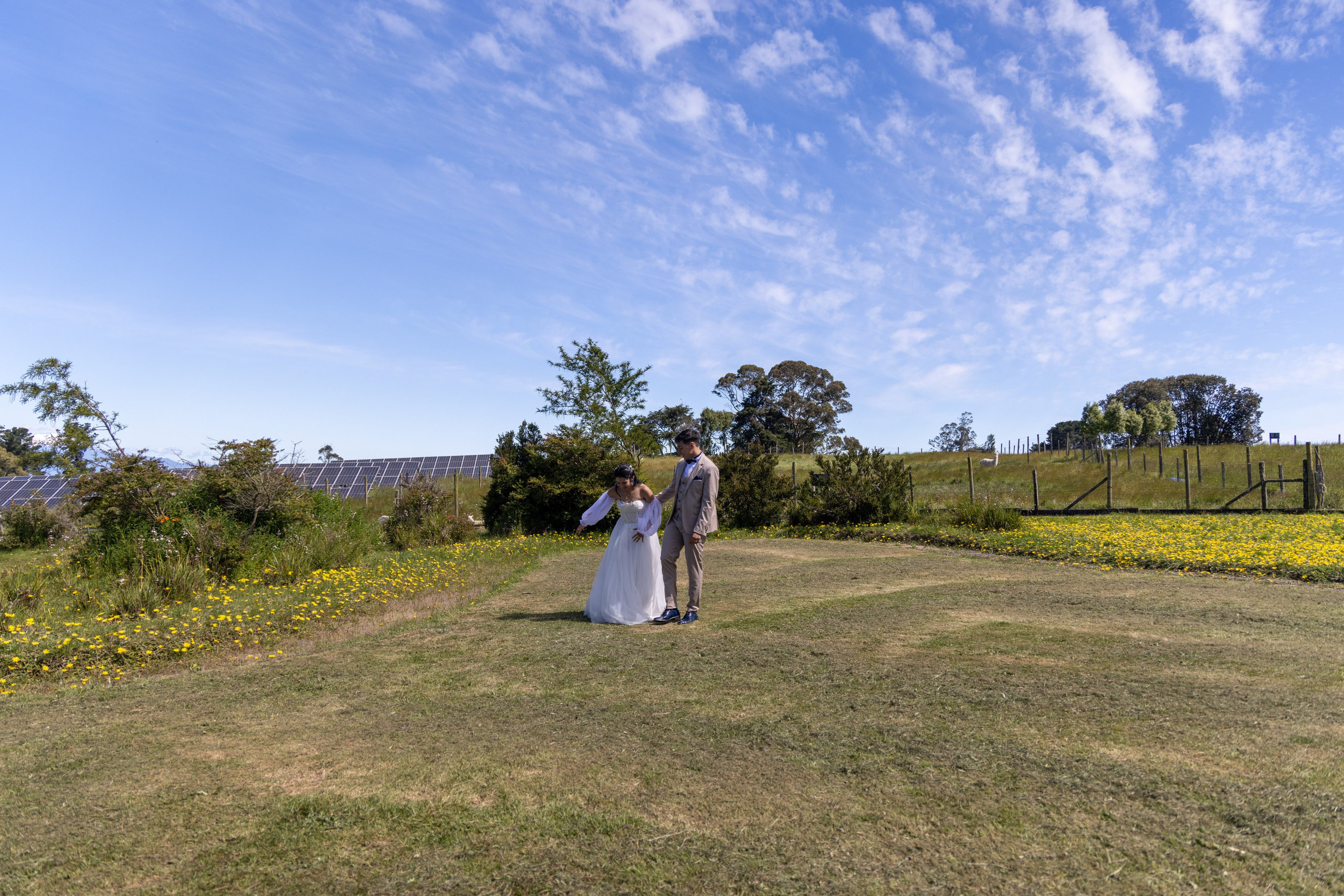 Carol & Ivo. Dinka & Emilio - El arte de preservar lo que no se repite