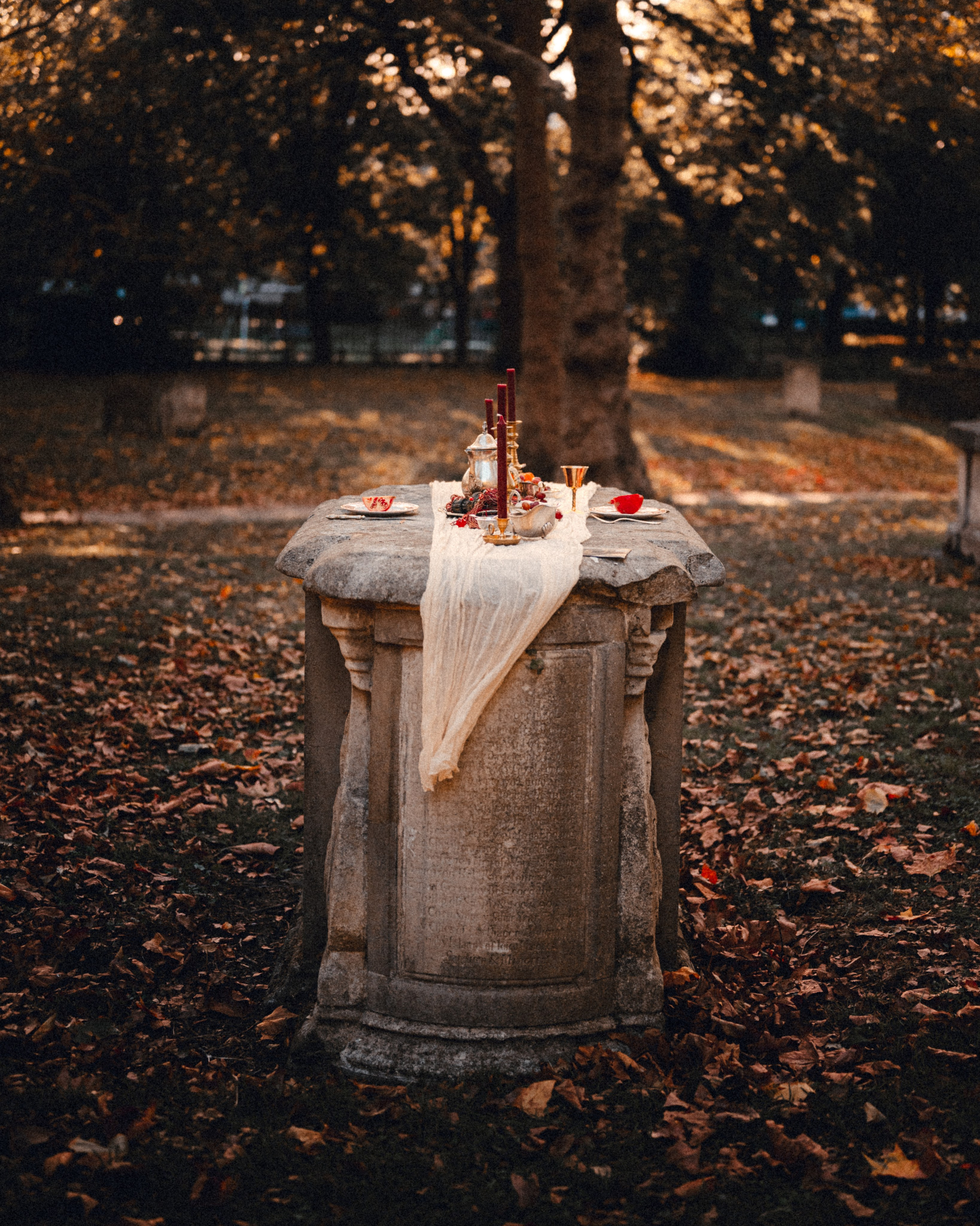 Vampire’s Dinner — Event Promo. Moth & Moss Photography