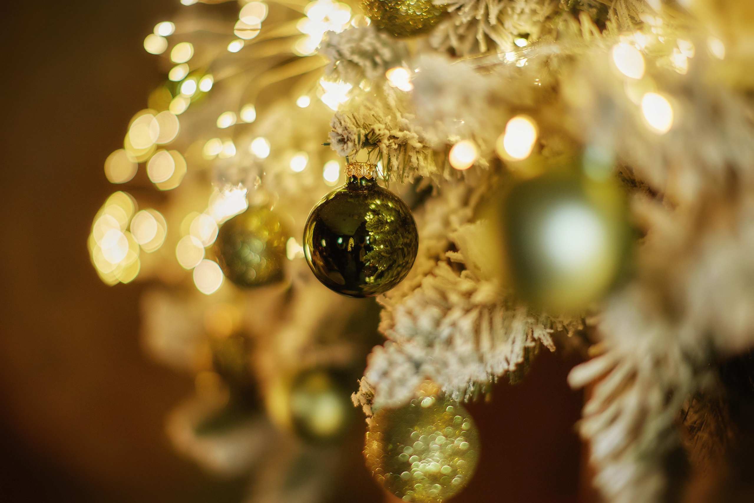 Sesiune Foto Christmas - Studio Fotomax. Fotograf de Nuntă | Familie | Portret - Iulian Doroganici