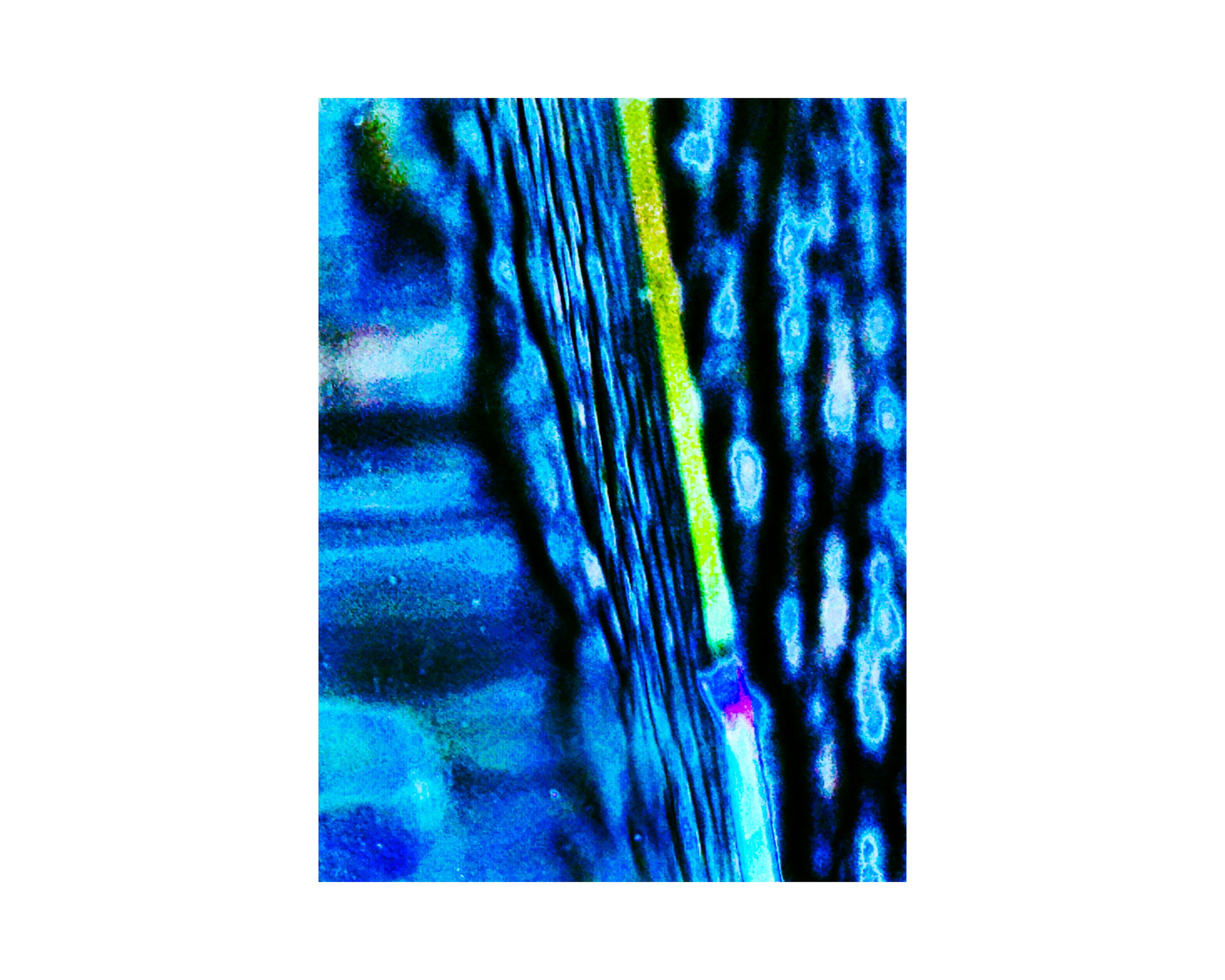 Nature from Exaggerated Worlds. Ekaterina Tsurkina-Appina Photography Canada